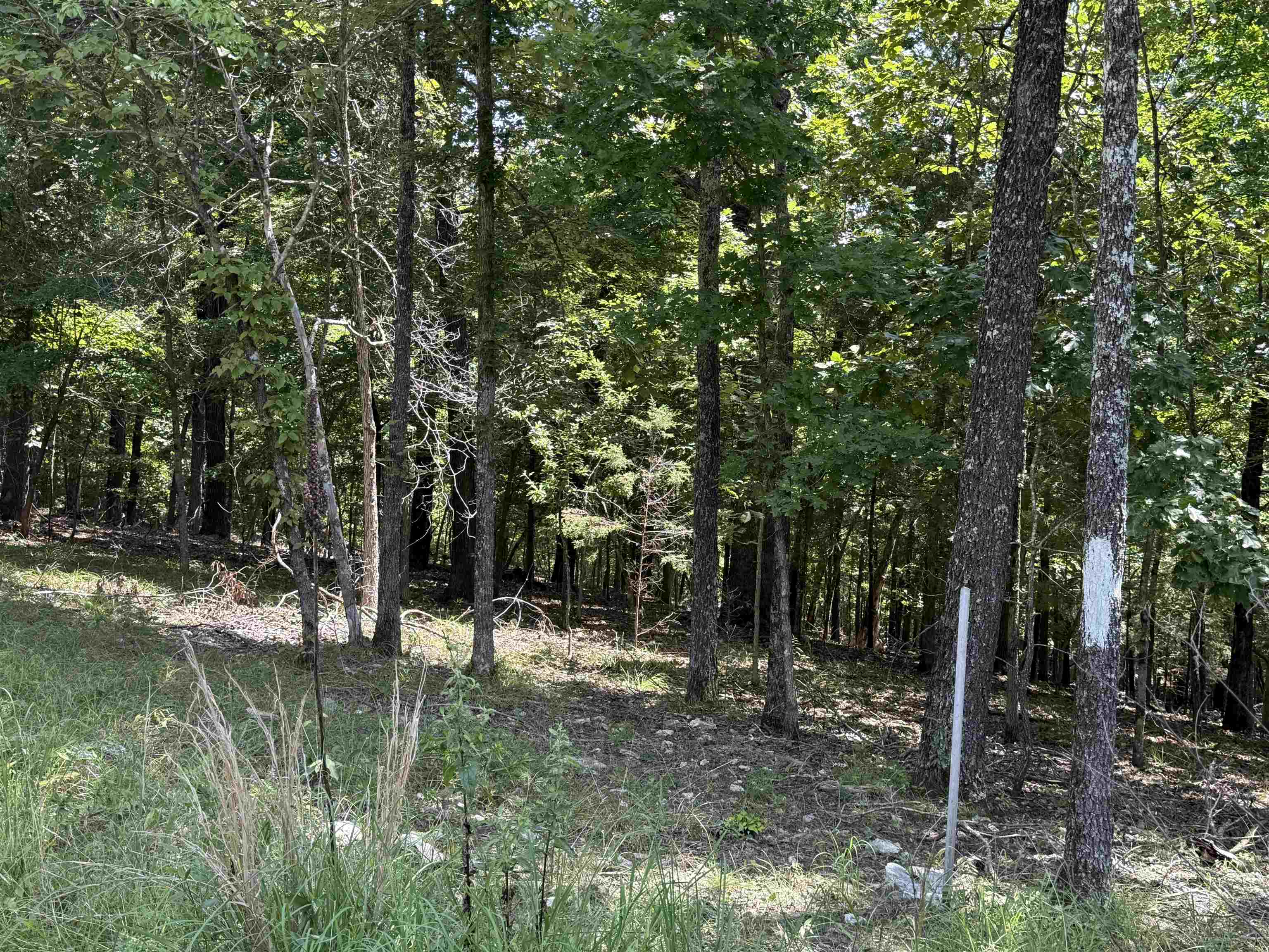 Metes & Bounds - Land