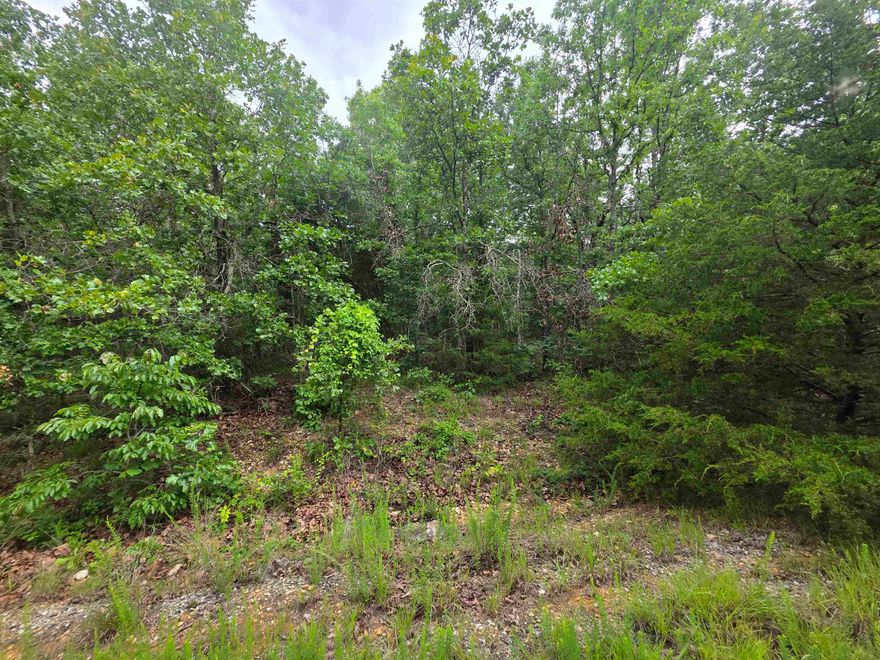 Secluded lot located on the West side of Cherokee Village. Near the South Golf Course and close to Lake Omaha but hidden away in the seclusion of an undeveloped subdivision with no other neighbors nearby. Be the first one to build a home in this hidden little gem of an area. Private, quiet and serene. Not a neighbor in site, but you can get out on the highway quick as a hiccup. Come and get a look at this fantastic piece of property and pick your spot for your forever home or build a getaway vacation home. Close enough to the South Golf course to drive your cart but far enough away so that you do not have to worry about dodging errant balls. Don't forget that Cherokee Village has Two 18-hole golf courses to work on your game, 7 lakes to hone your fishing skills and the beautiful Southfork river running through it you are up for a lazy floating trip down the river. Owner Financing possible with agreeable terms.