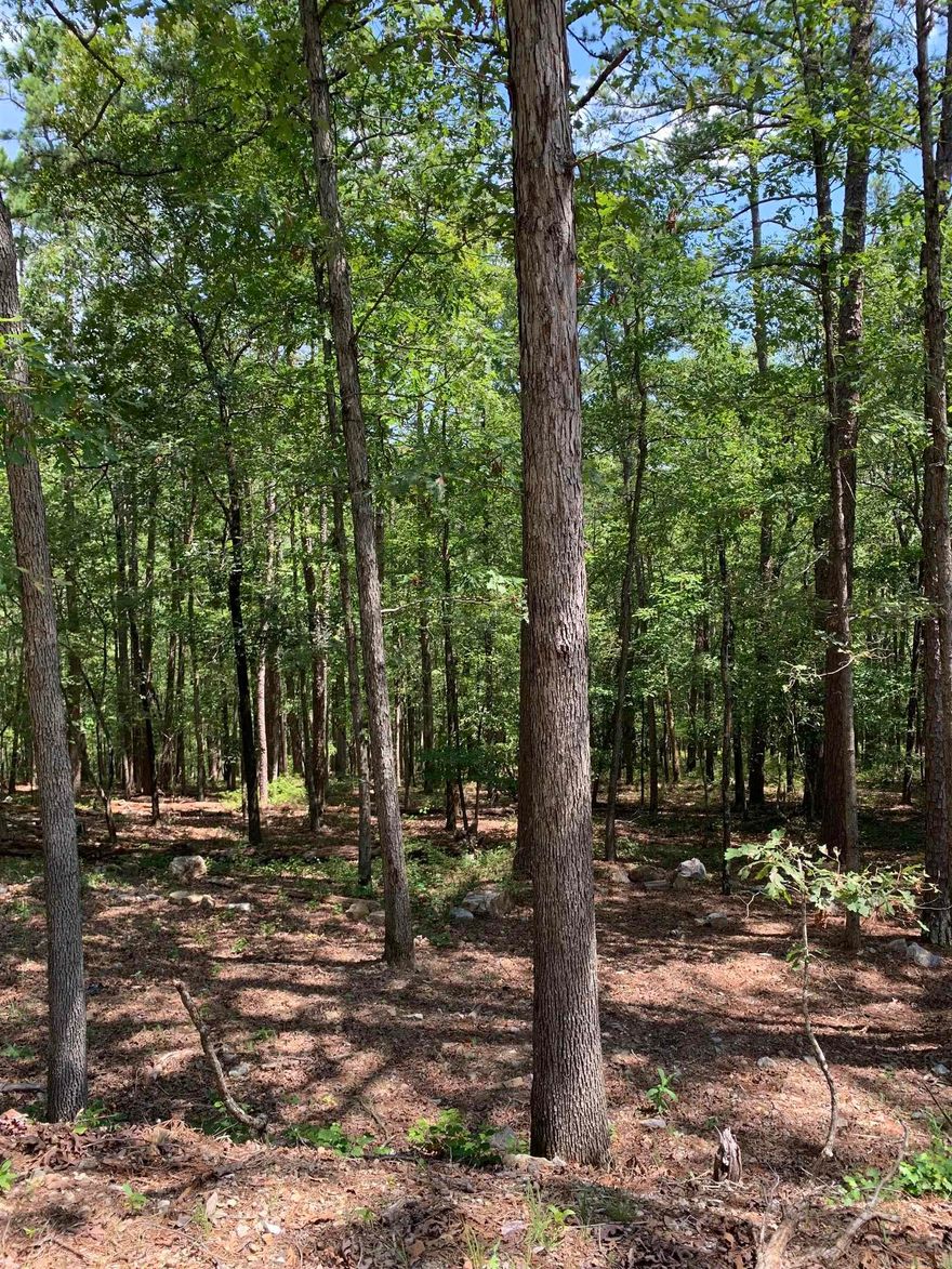 Beautiful lot for building your dream home on with views of the Ouachita Mountains in the Fall/Wintertime. Very peaceful and quite atmosphere with only a few homes around. Hot Springs Village the nation's largest gated community offers 9 beautiful golf courses, 11recreational lakes with over 30 miles of trails for walking and hiking! New buyers to the Village have a $300.00 buy in fee payable to the POA at closing.
