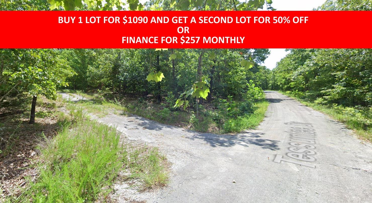 Buy one lot and get 50% off an additional lot! Part of a set of adjoining lots available. Owner-finance for easy terms. Cash buyers can pay by debit or credit card as well. Nice lot to develop or hold for future value. Public water and electric are available to run to property and will need septic. Owner/agent. No mobiles allowed. 300-2500 minimum build size on any other type of home, depending on subdivision. Finance is 5 months at $257 and closing costs are included. Buyer responsible for any back, current and future taxes owed on this property. Lots marked with red banner are part of promotion. No limit on lots. Buyer responsible for any/all taxes and lots sold "as-is". Quit claim deed conveys. Parcel ID# 180-13167-000
