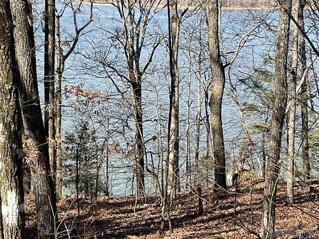 CRYSTAL BROOKE SHORES - Land