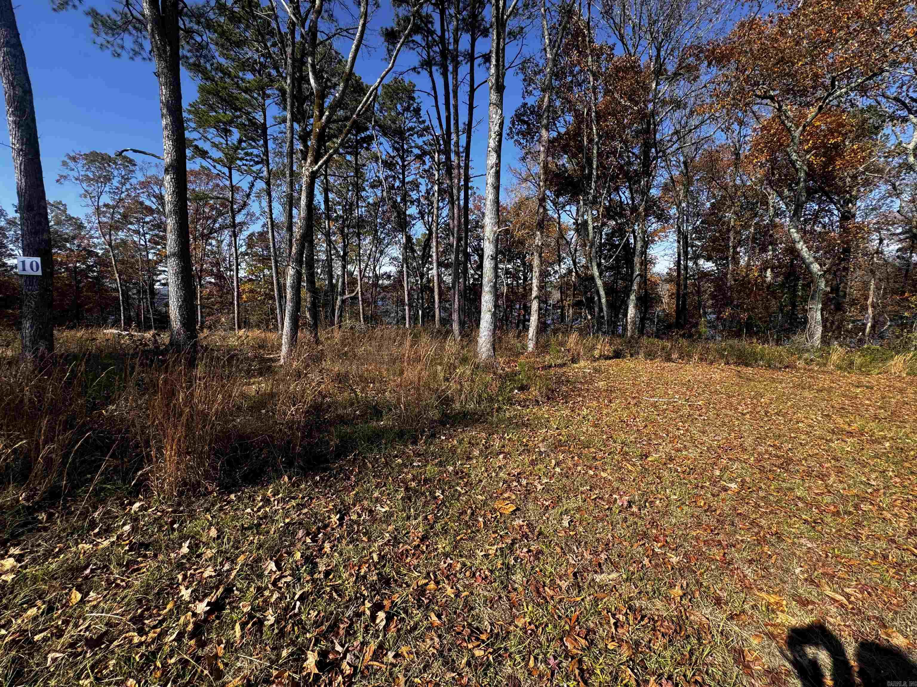 CRYSTAL BROOKE SHORES - Land