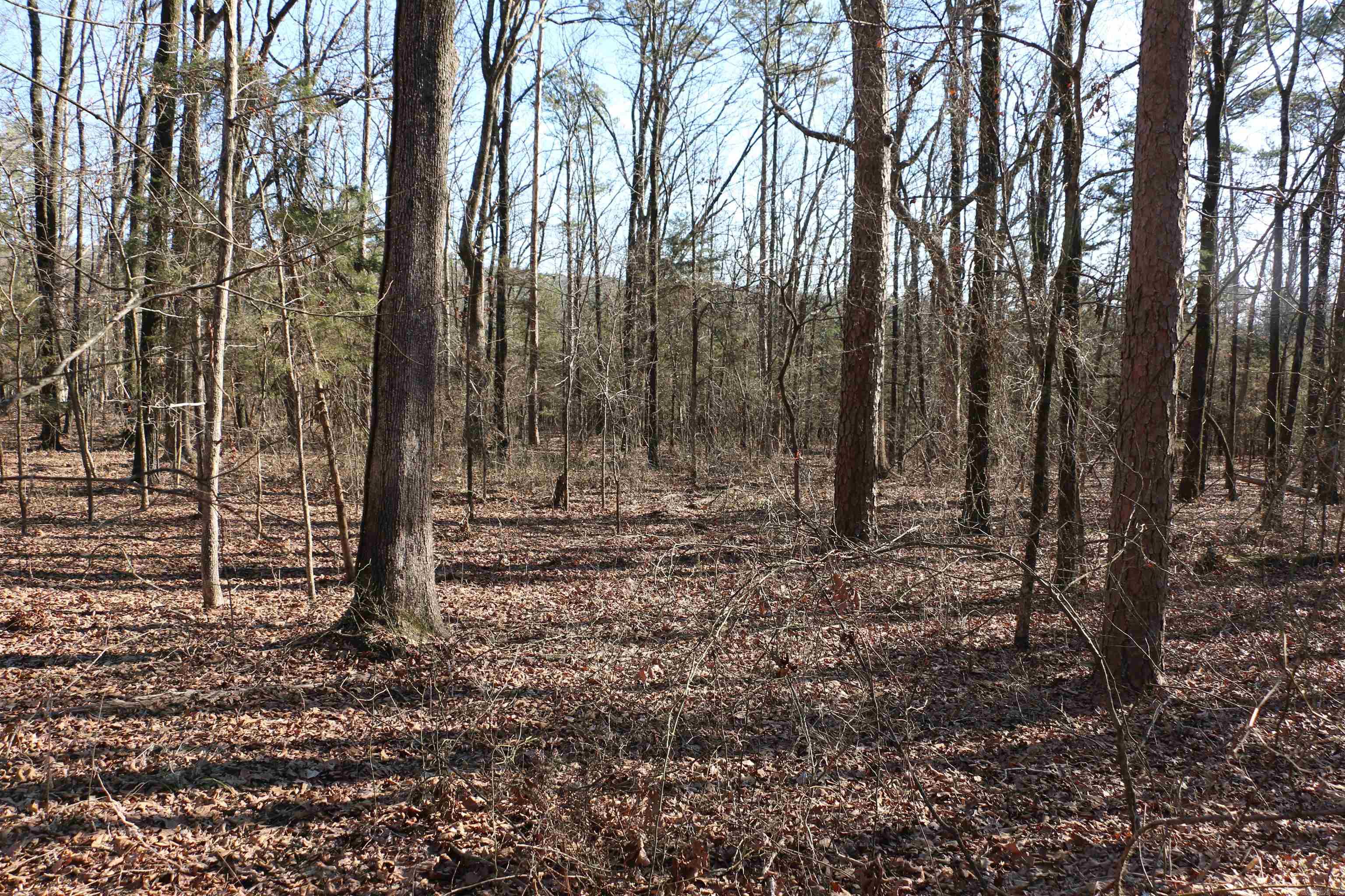 Chelsea Glade - Land