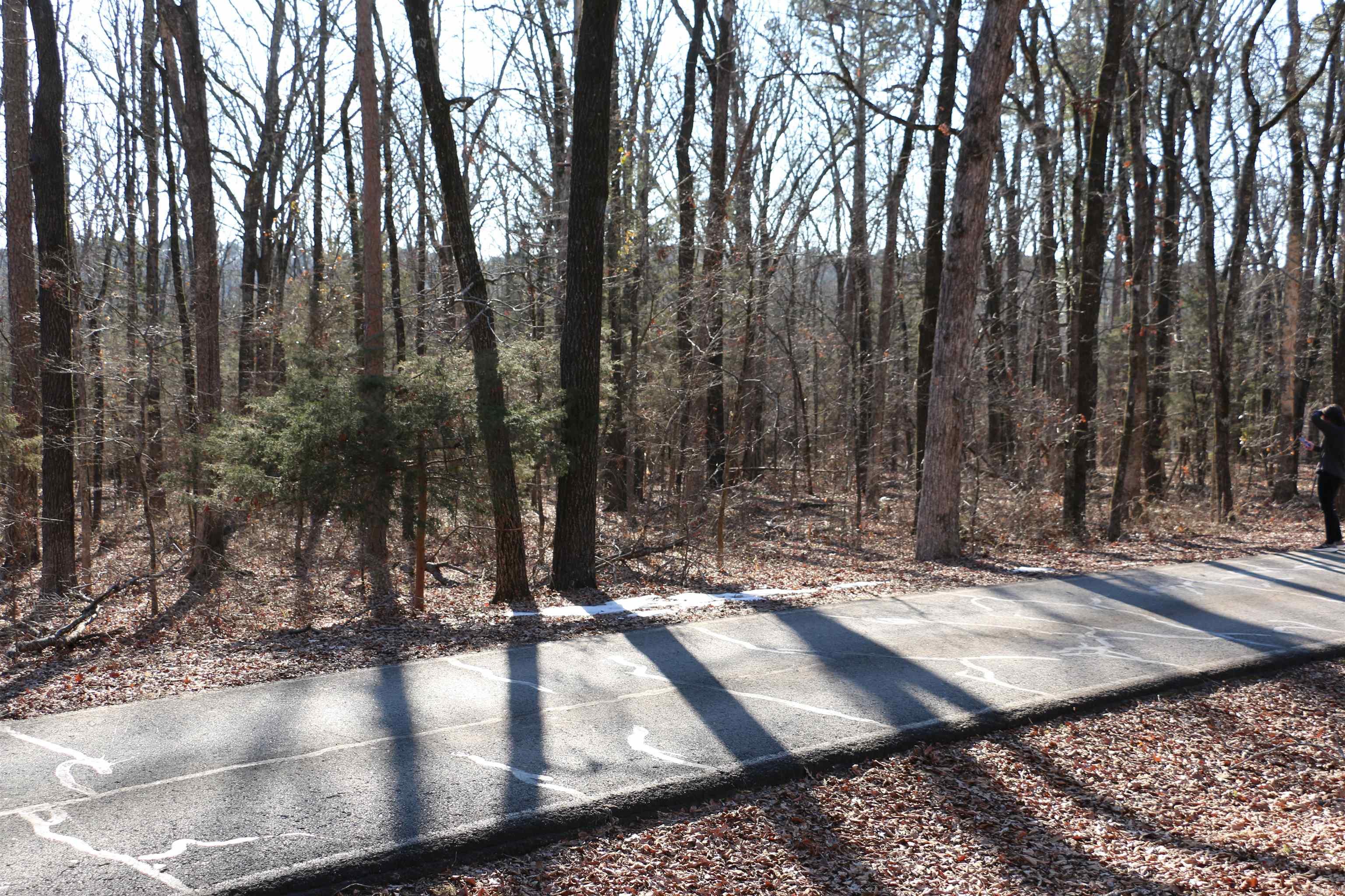 Chelsea Glade - Land