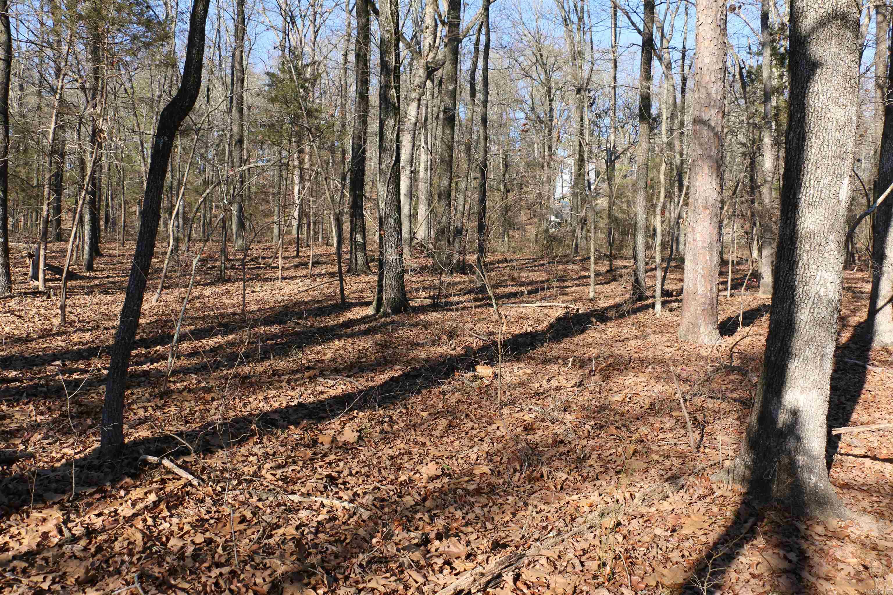 Chelsea Glade - Land