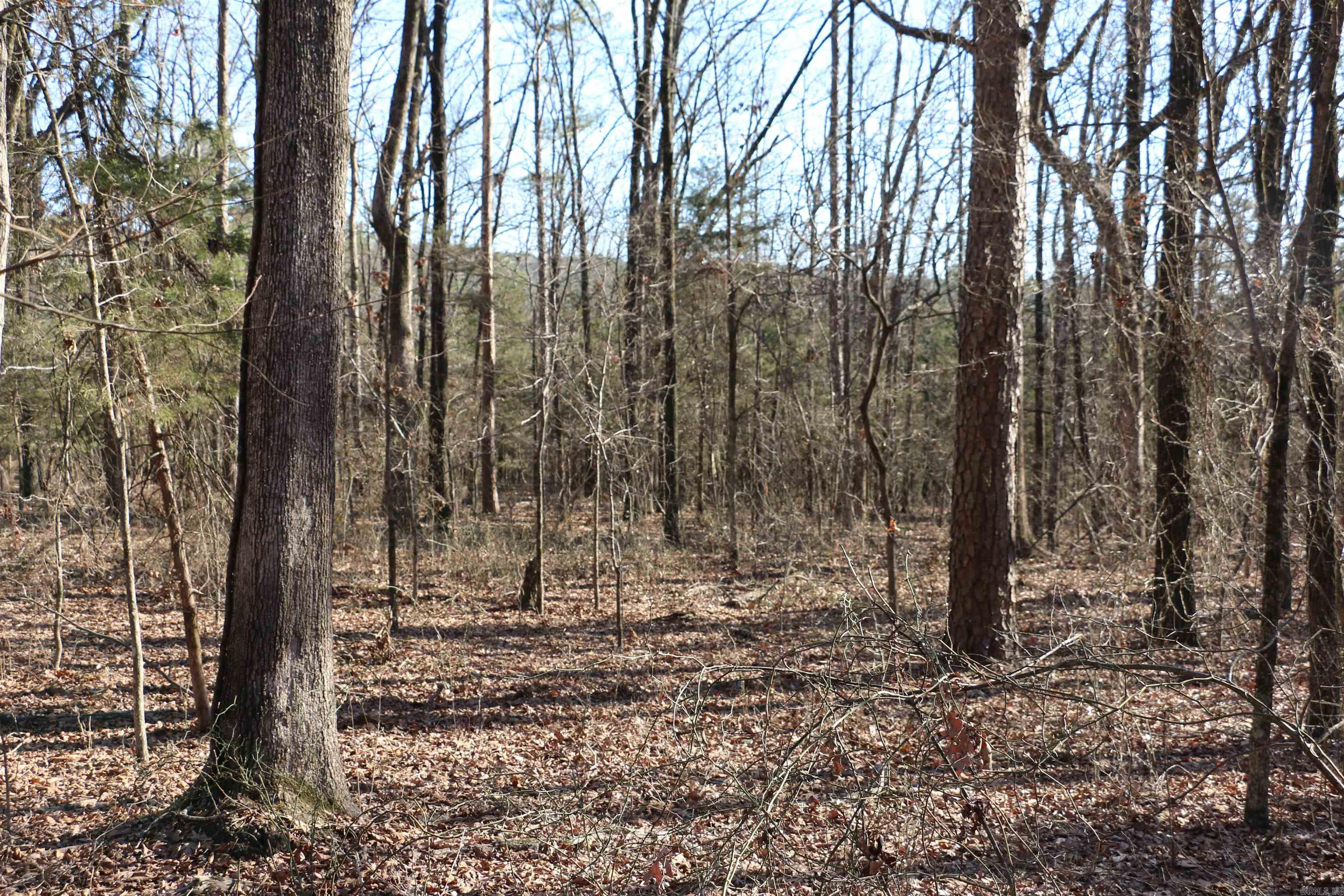 Chelsea Glade - Land