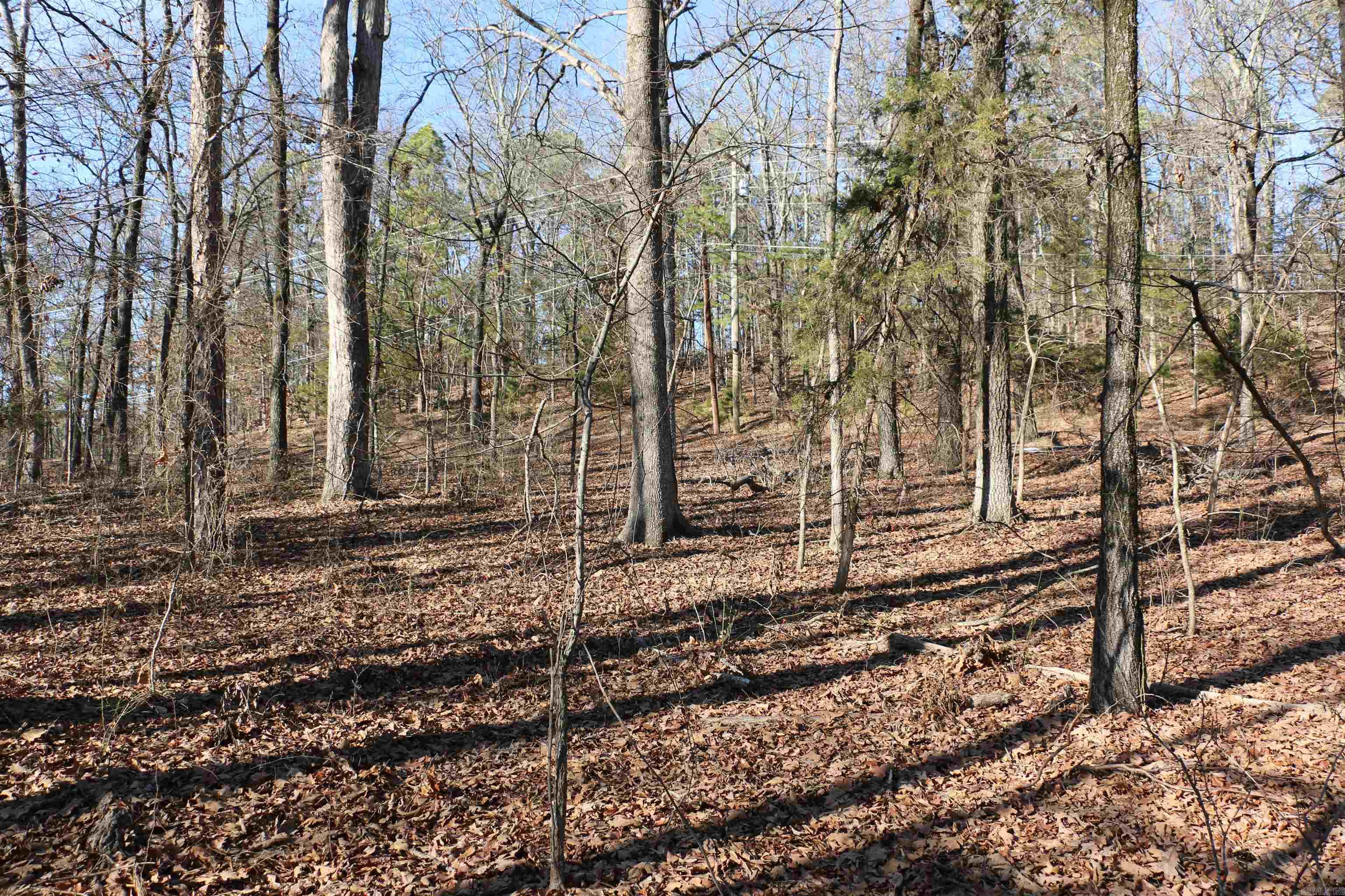 Chelsea Glade - Land