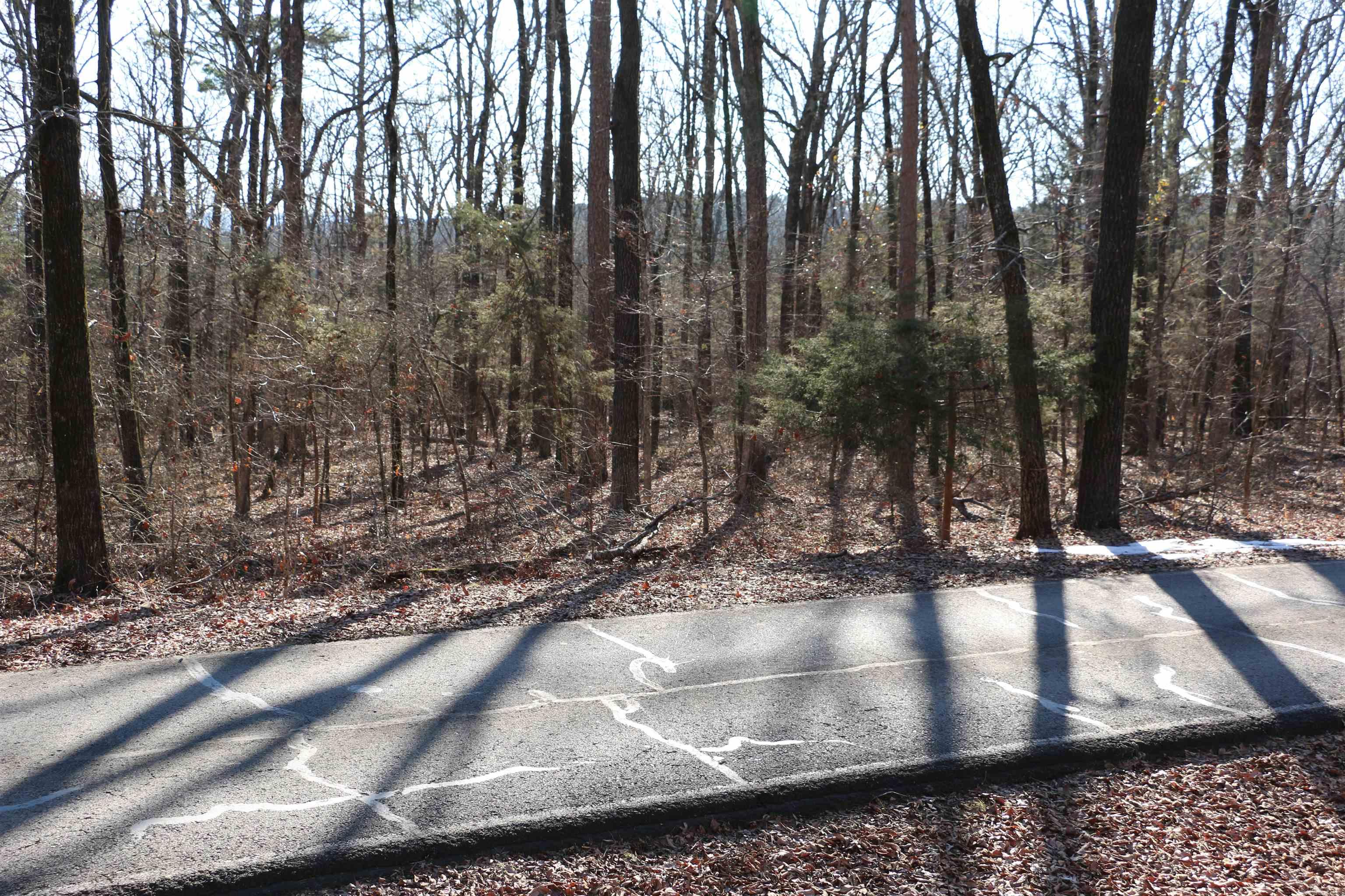 Chelsea Glade - Land