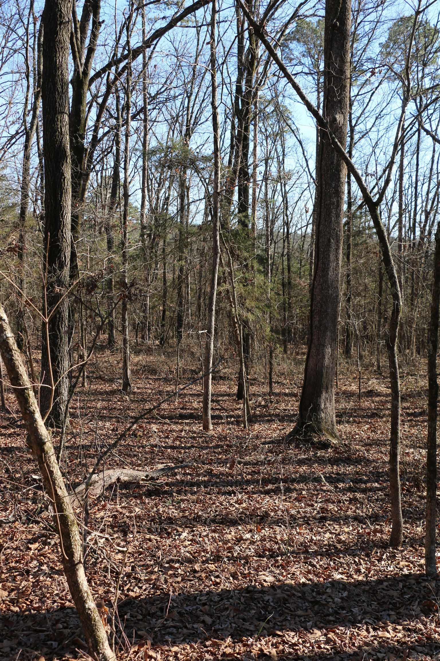 Chelsea Glade - Land