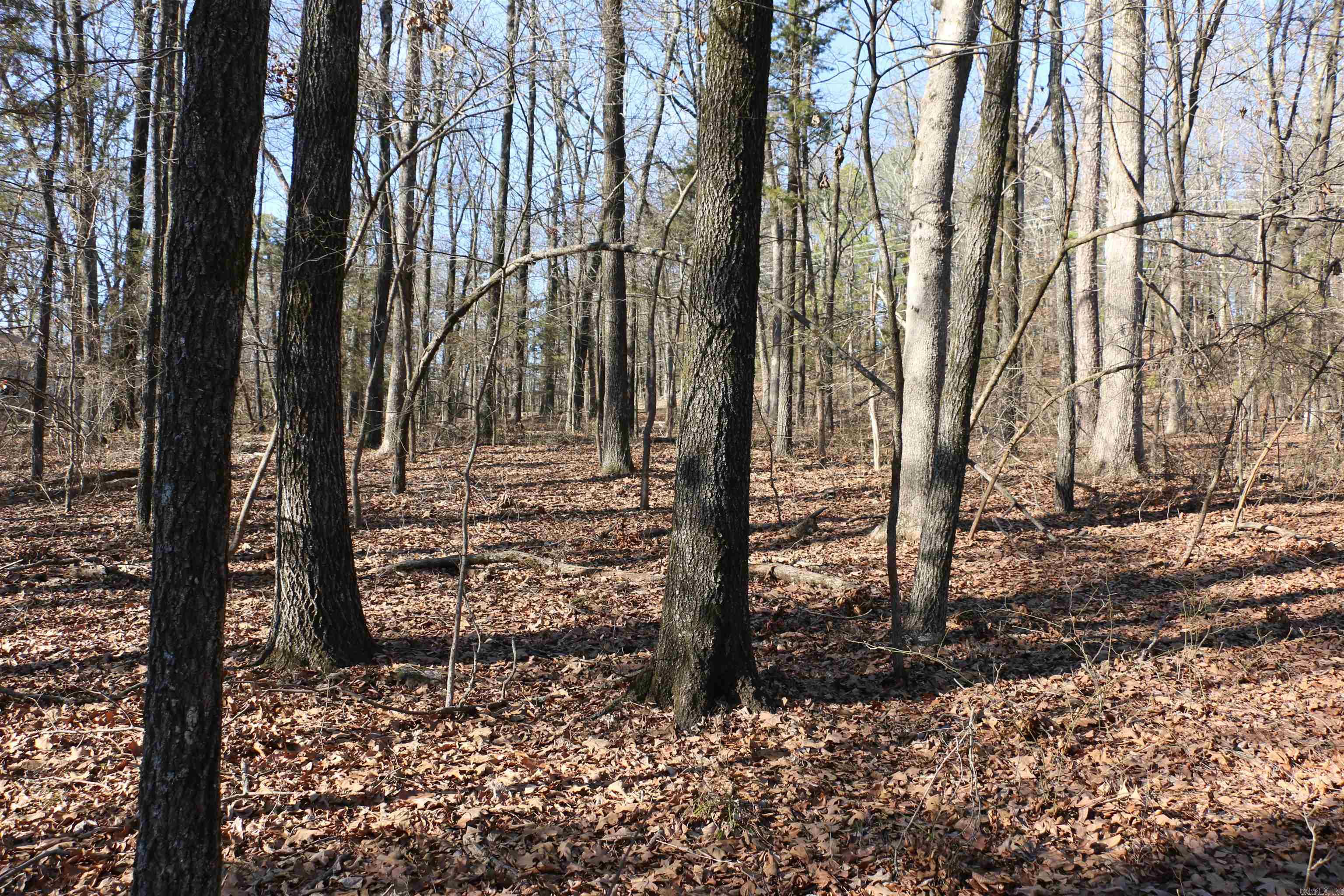 Chelsea Glade - Land