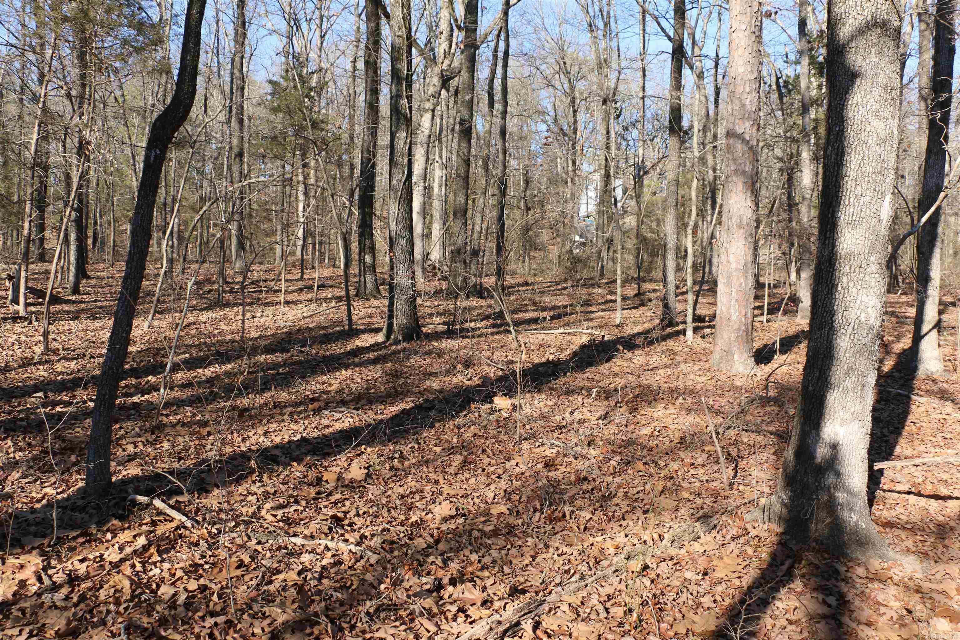 Chelsea Glade - Land