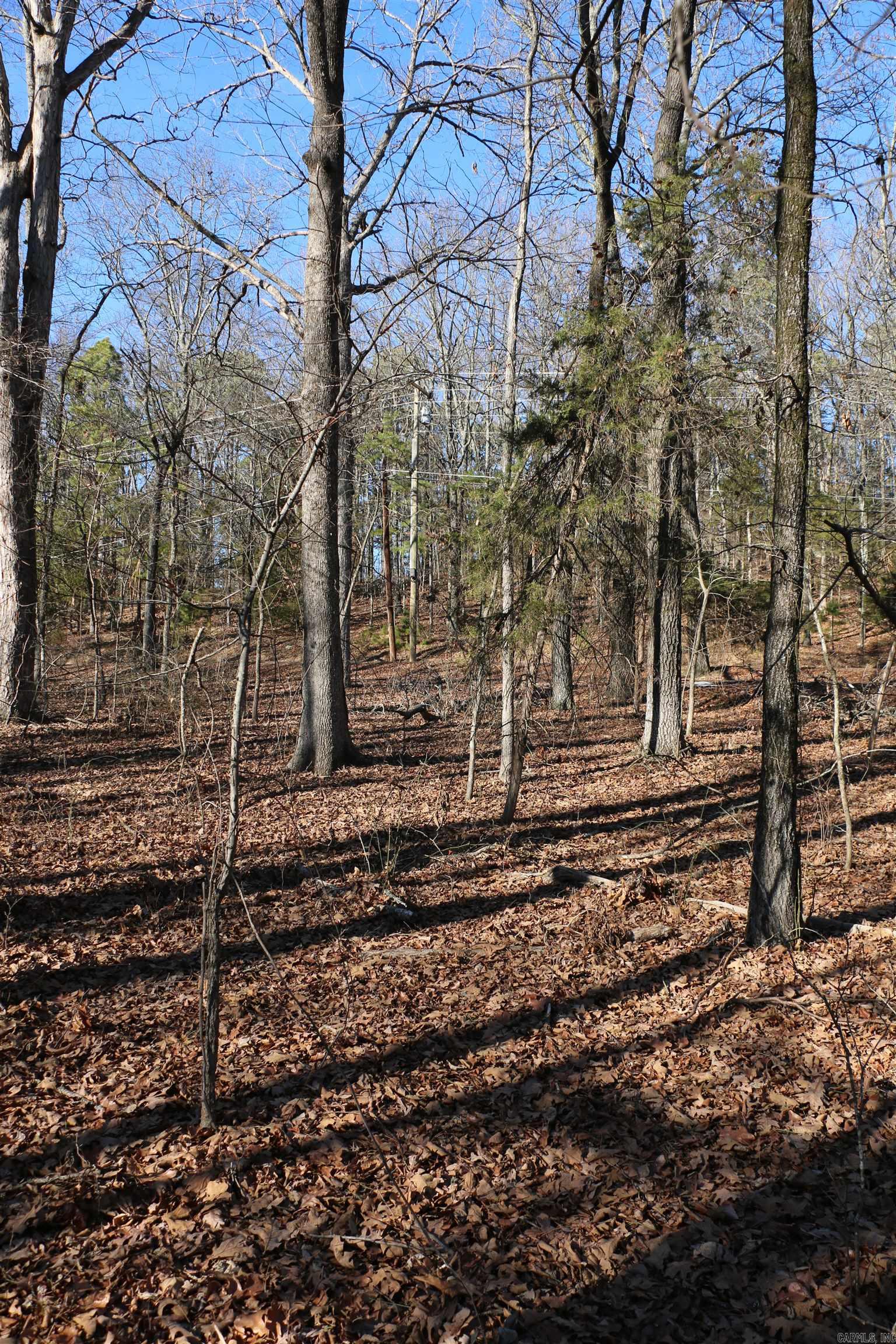 Chelsea Glade - Land