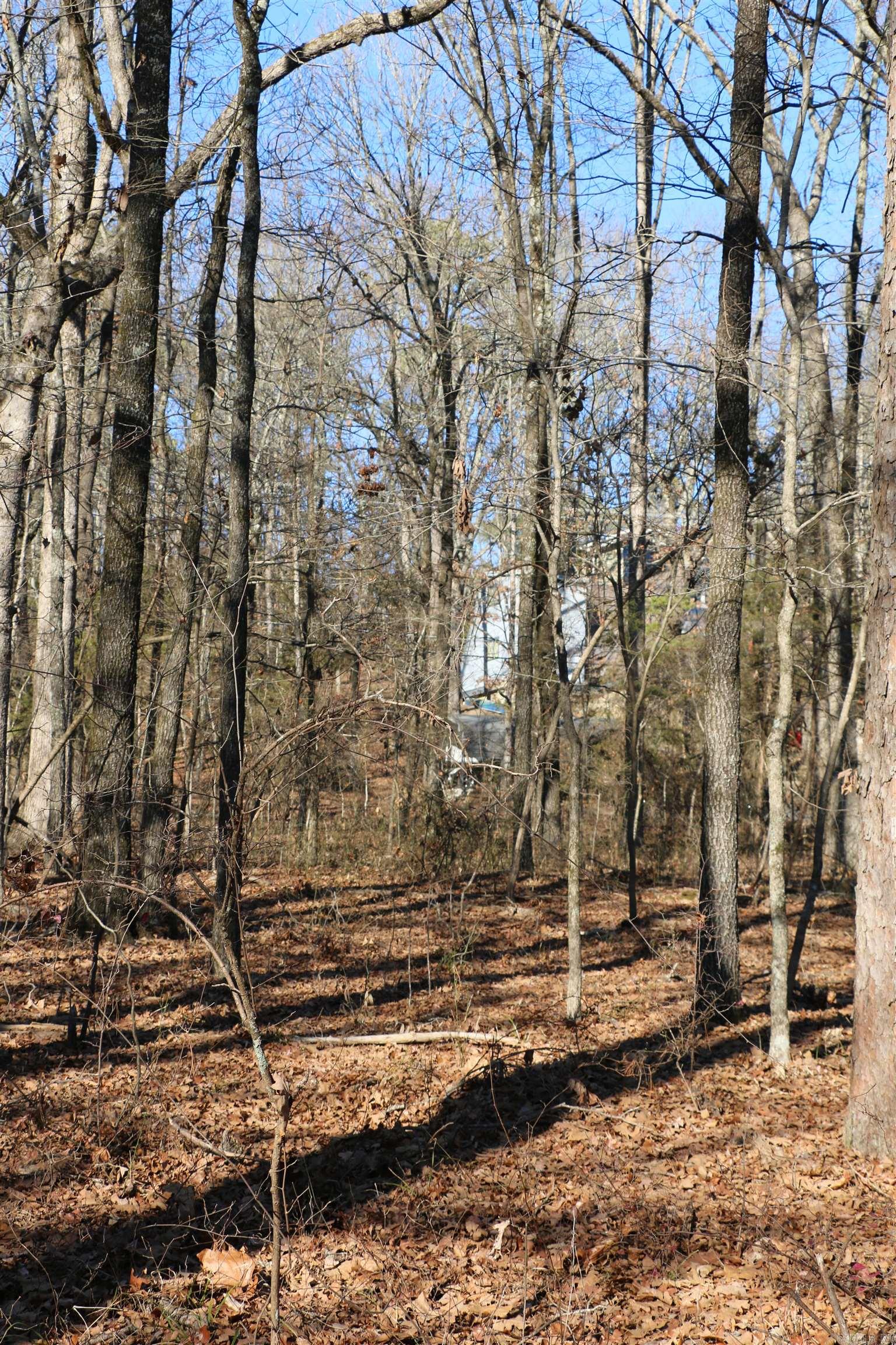 Chelsea Glade - Land