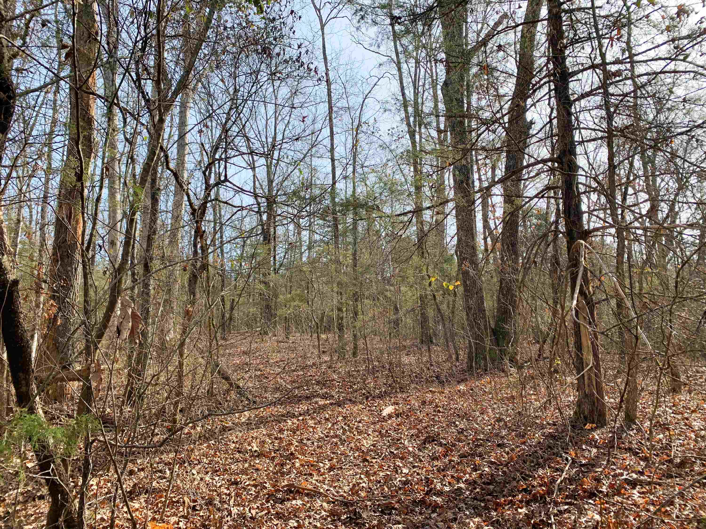 Metes & Bounds - Land