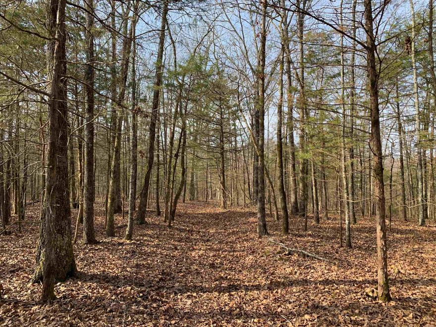 Peaceful tract of woods just 1/2 mile from downtown Quitman - one of the only larger wooded tracts left this close to Quitman. Abundant wildlife and towering trees make this a truly special place. Excellent location to build your dream home or cabin. First Electric power line and Quitman City water run down Buckeye Lane. Plenty of elbow room between neighboring properties and less than 15-minute drive to boating and fishing at Greers Ferry Lake.