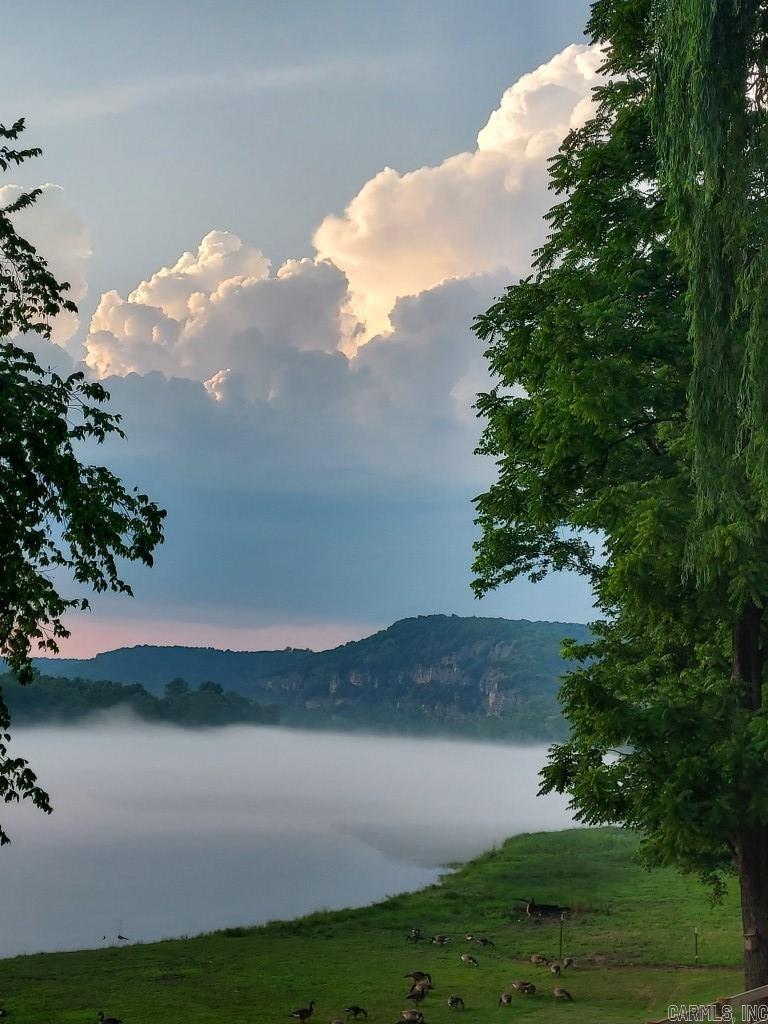 Collietown - Residential