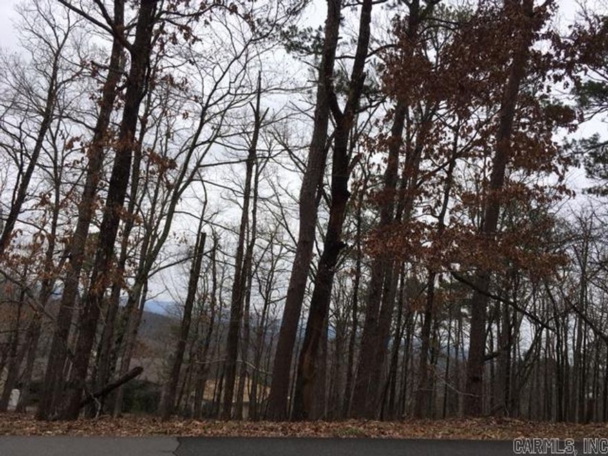 CORNER LOT WITH EXQUISITE VIEW OF MOUNTAINS.  CONVENIENT TO WEST GATE AND ALL SHOPPING.  FIRST TIME BUYERS FEE $300 PAID AT CLOSING.