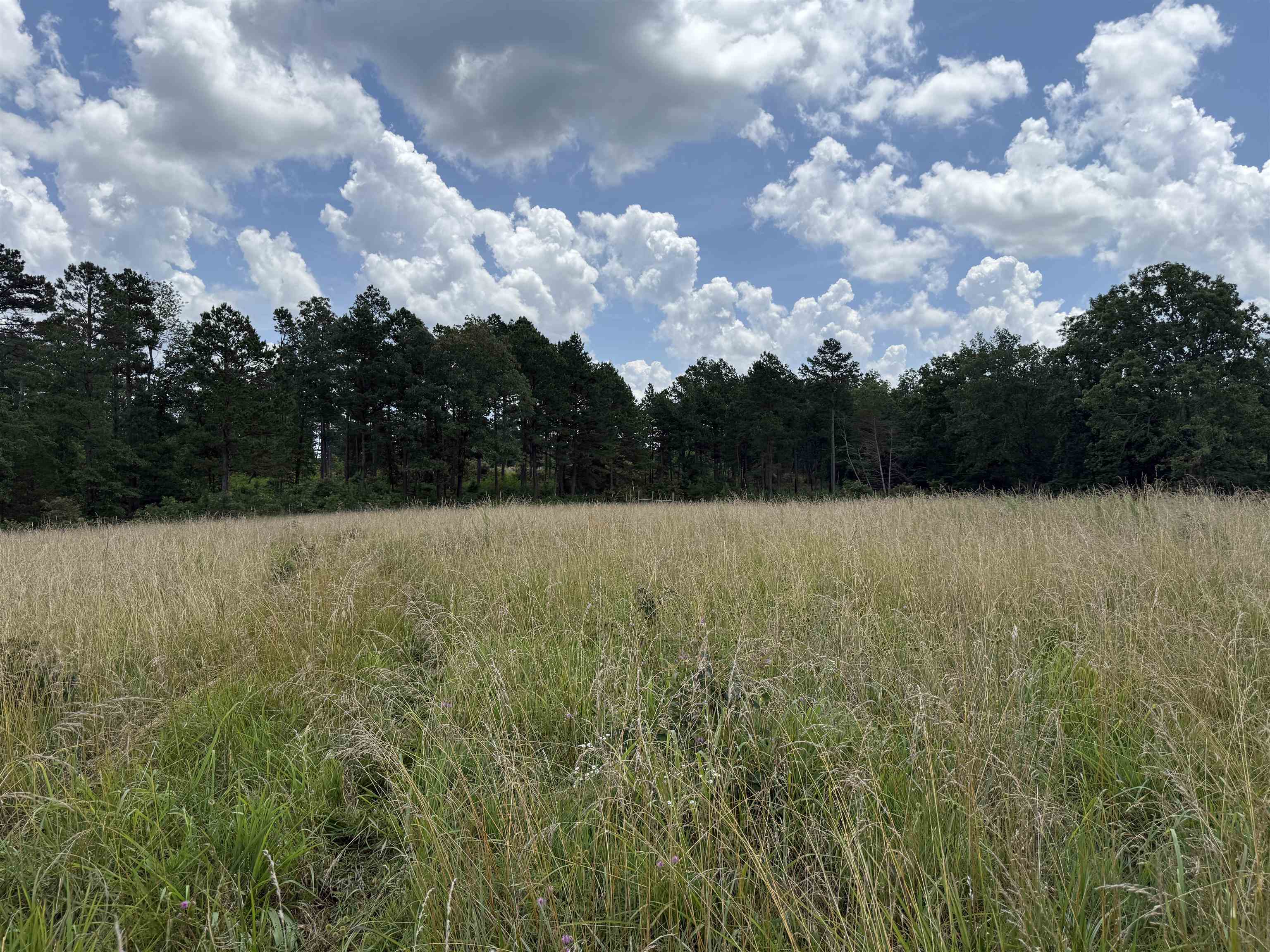 Metes & Bounds - Farm