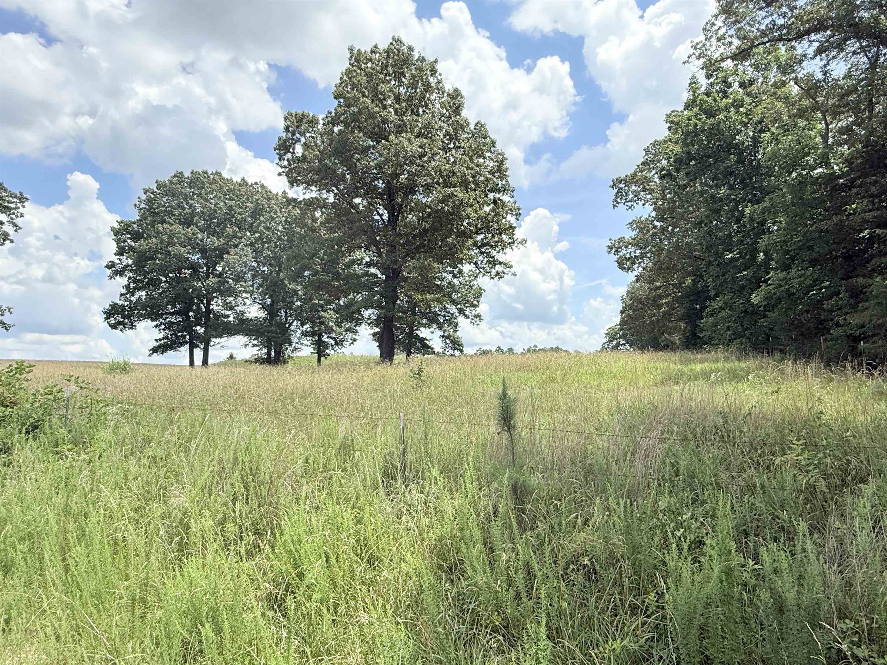 Metes & Bounds - Farm