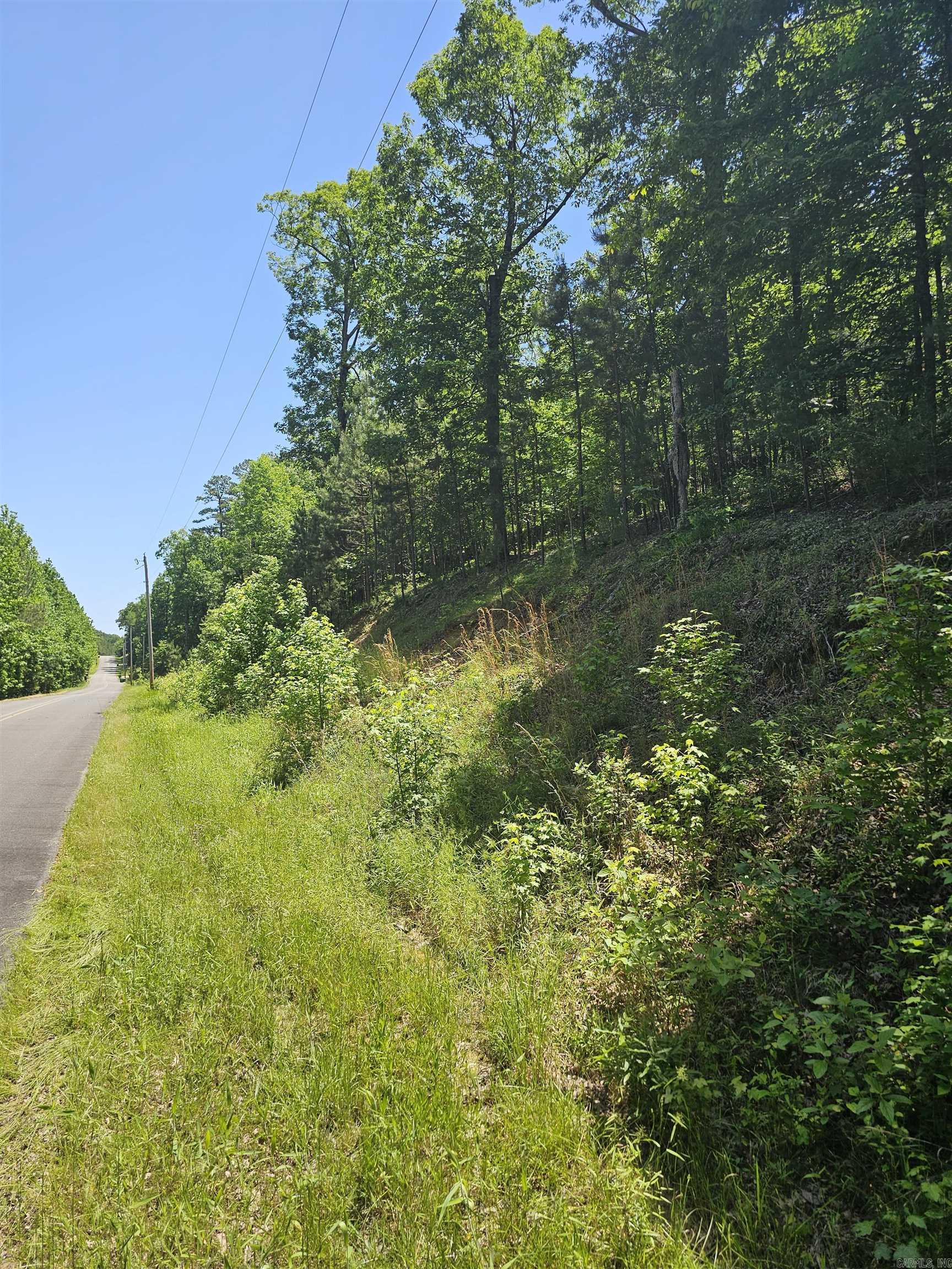 Beautiful wooded lot of 3 acres in Eagle Ridge Estates. This lot offers privacy with its abundance of trees. Bring your own builder with a minimum building requirement of 2000 sq ft.