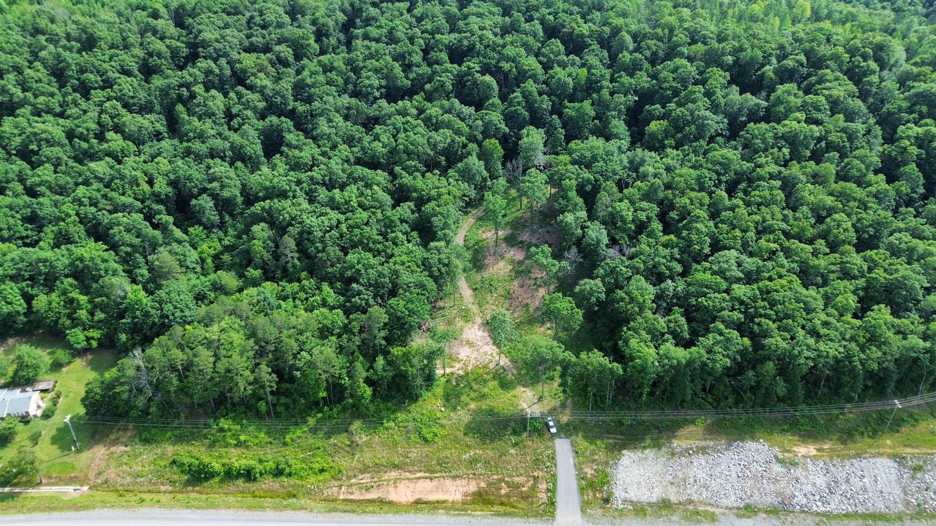 This is the opportunity you've been searching for! Over 20 acres north of Clinton, ready to be developed, with immediate access to Highway 65. This property has an approximate combined highway frontage of 1,653 ft. There are 2.48 Acres on one side of HWY 65 and the rest are on the other side! This is perfect for someone seeking a commercial development on the way to Branson or perhaps someone that just wants to build their dream home on an expansive lot in a great location. Part of this property has already been partially cleared and is waiting for someone to manifest their vision for this great piece of land! Nearby utilities are Petit Jean Electric and Clinton Water. Survey and seller property disclosure on file. Parcel ID: 0000-07532-0050 SEE VIDEO HERE: https://youtu.be/ieIygHR98FY?si=hiArplAKyoeLS9m4