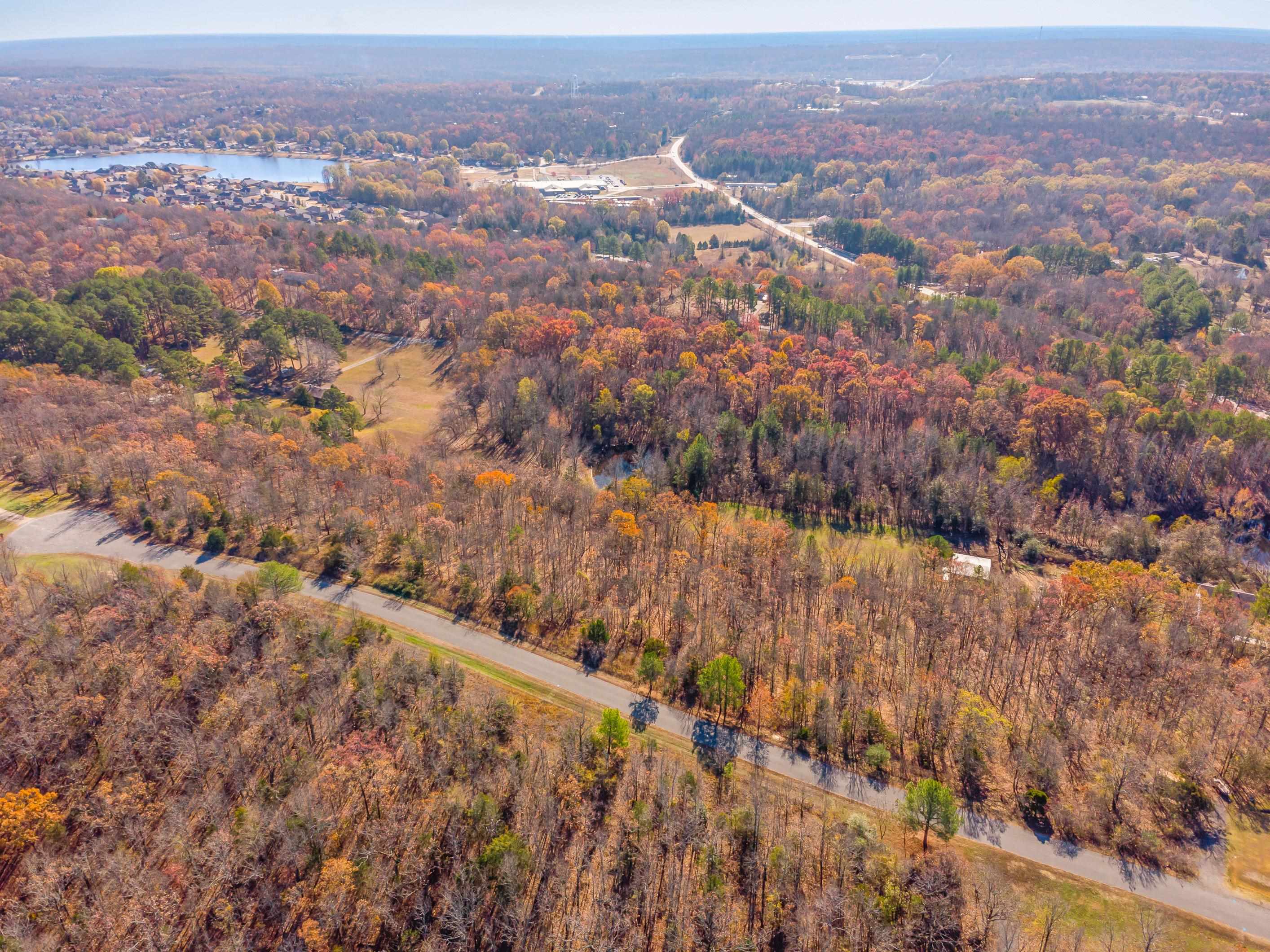 Looking for a view? Beautiful wooded lot overlooking the hillside and mother nature! This lot is perfect for a two story home, walk out basement home or garage below. Good frontage of 474 feet and goes deep 285 ft. Look at the plat to see layout. Minimum size home is 1850 sf heated and cooled. For this price, you can't go wrong!! Build that dream home! Culdesac so NO through traffic! Easy commute to freeway to Little Rock or easy drive to Conway.