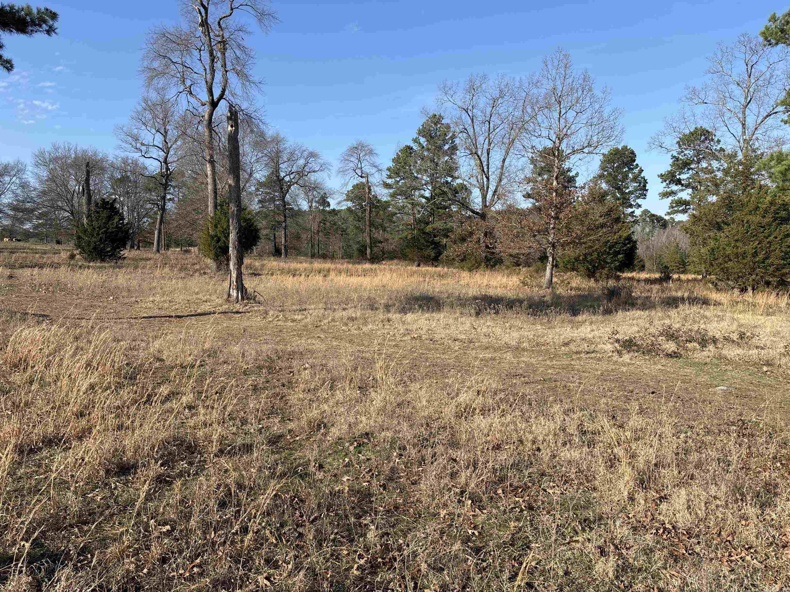 Metes & Bounds - Land