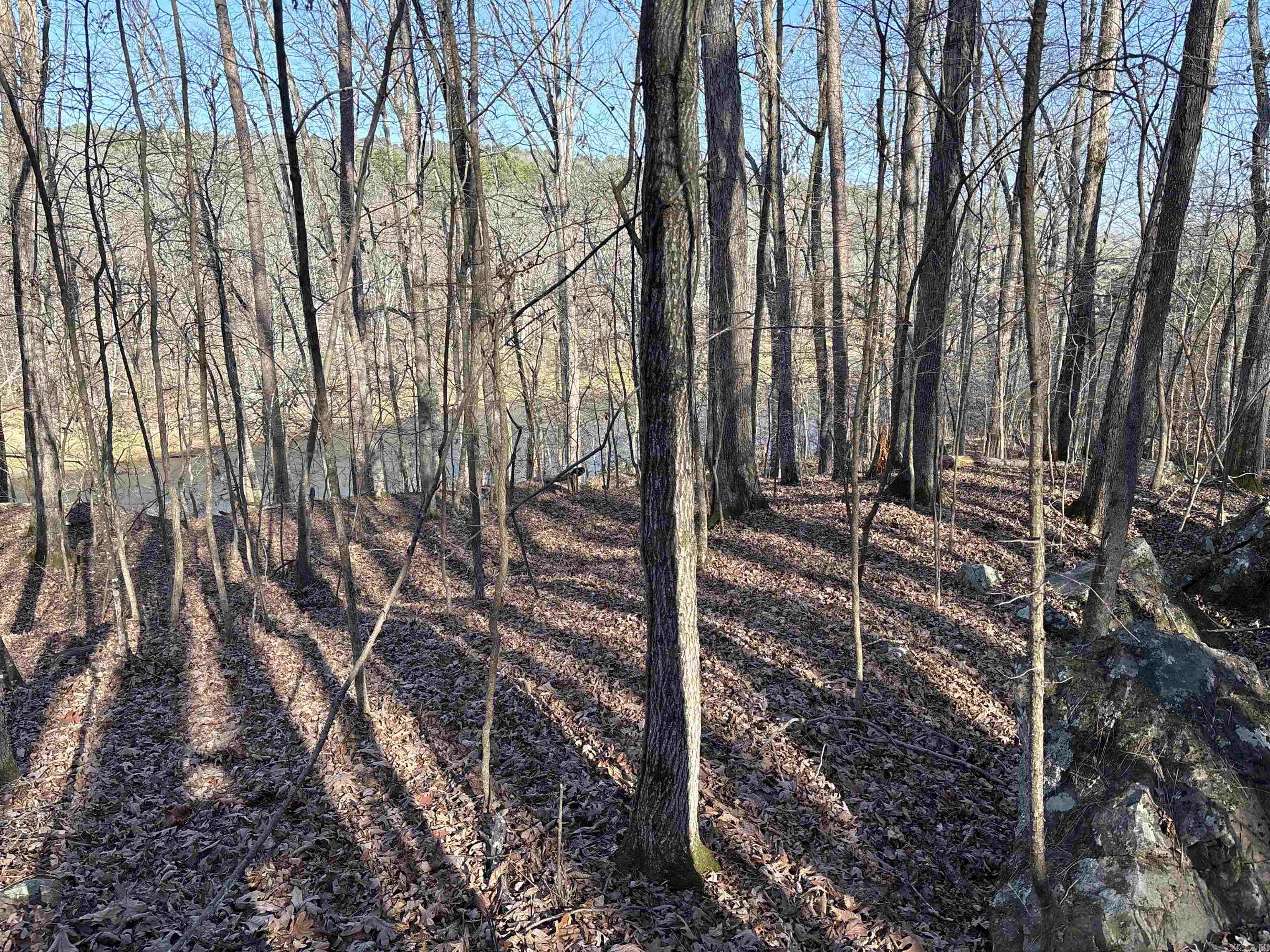 Metes & Bounds - Land