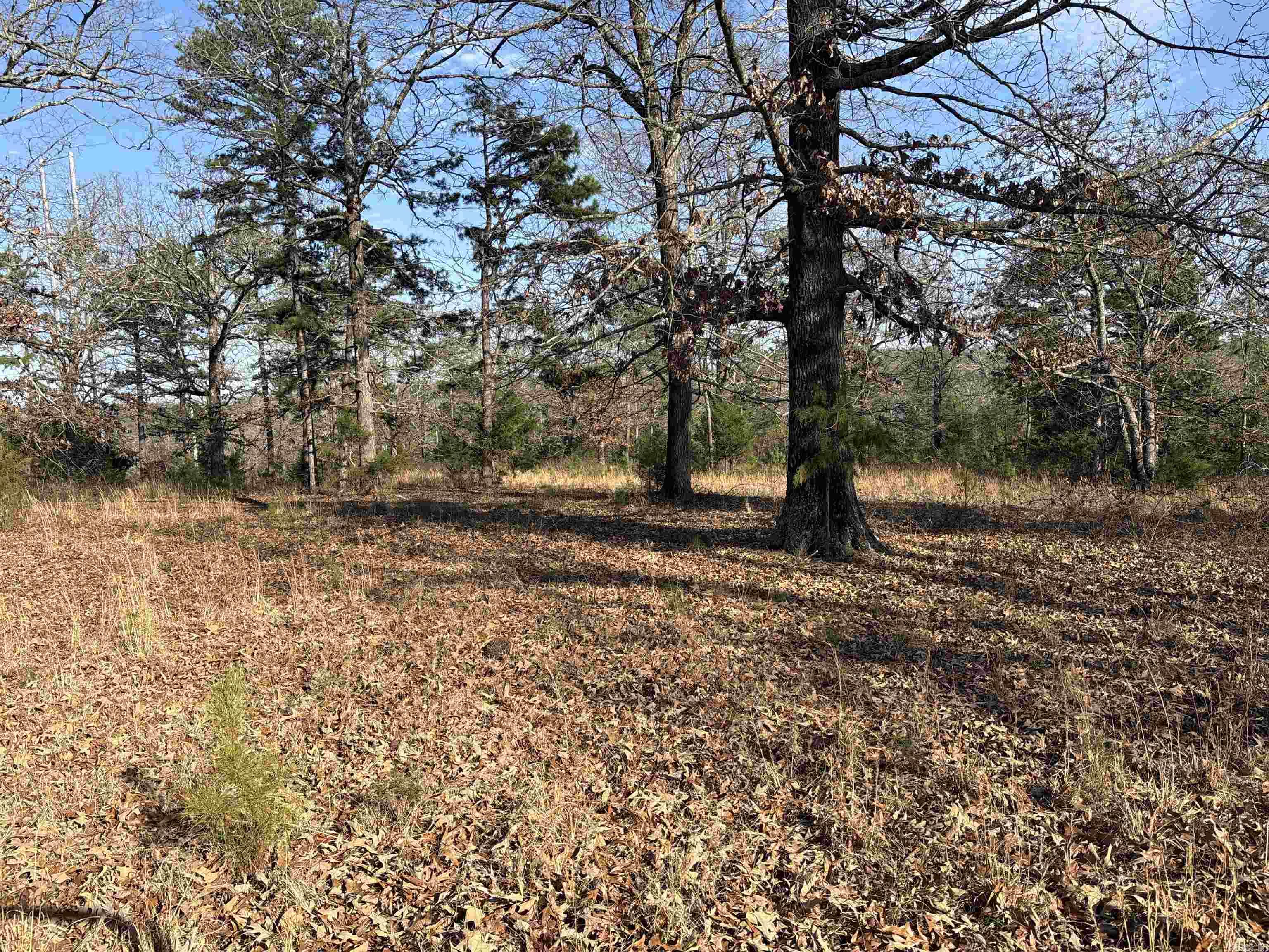 Metes & Bounds - Land