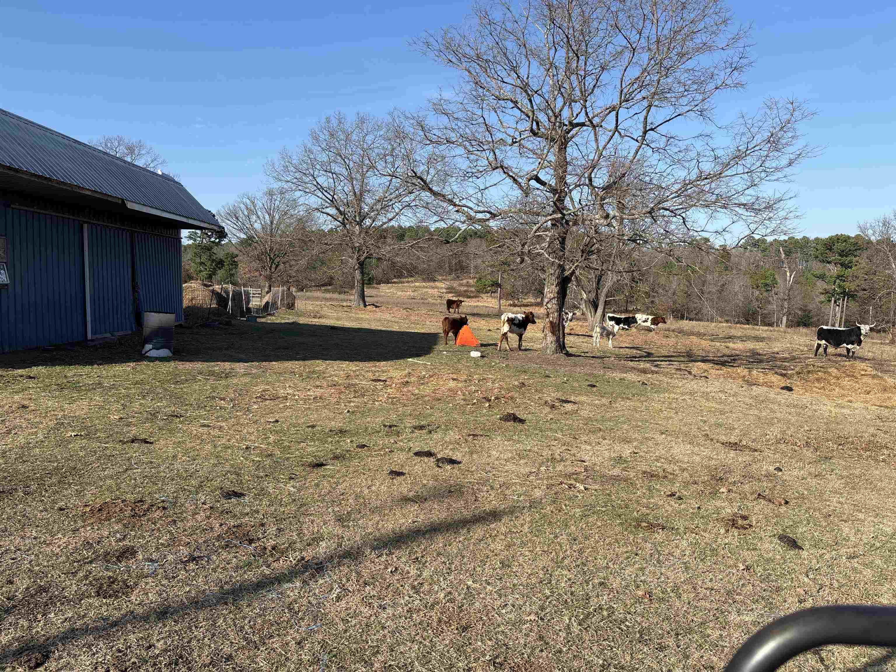 Metes & Bounds - Land