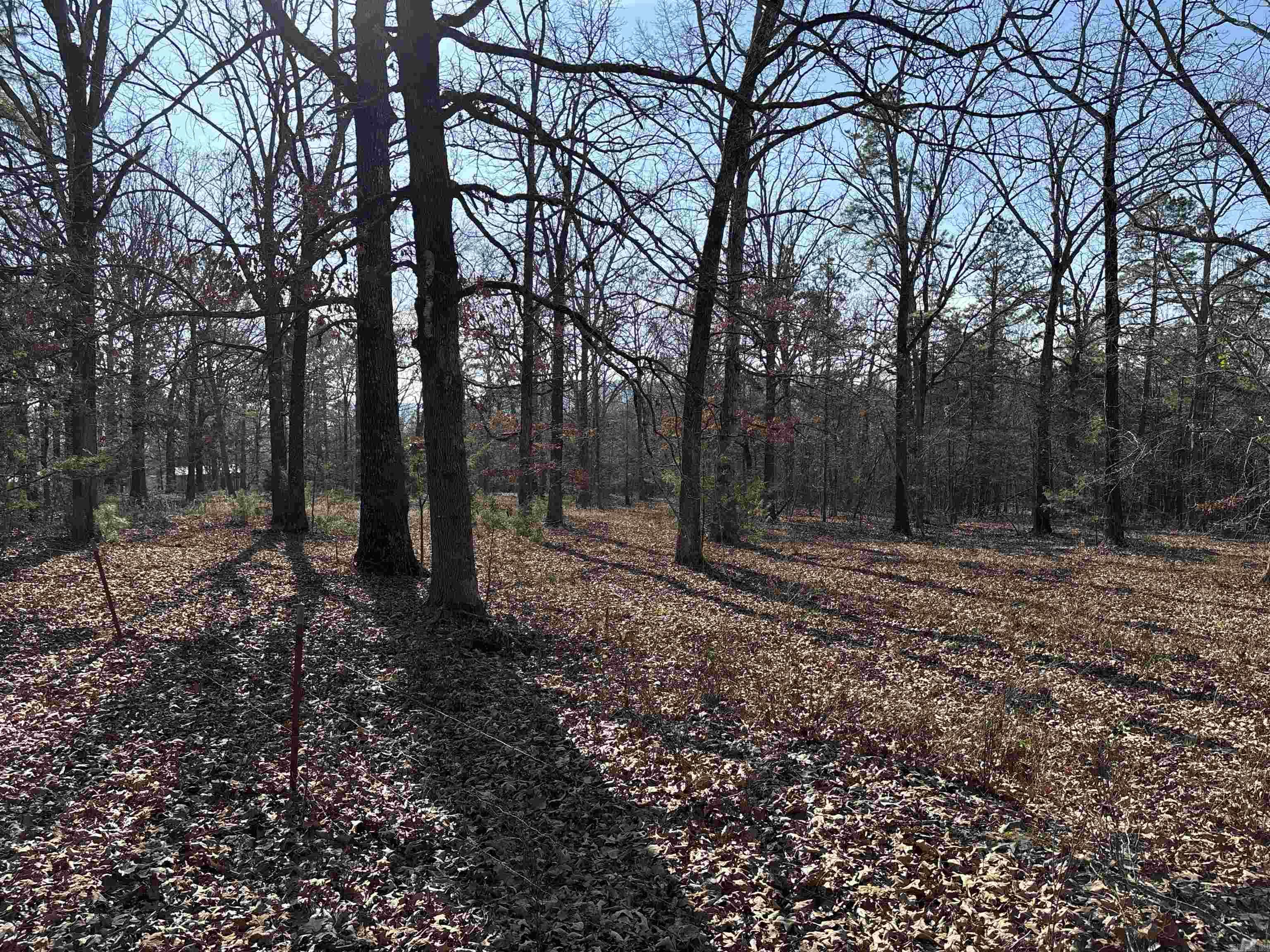 Metes & Bounds - Land