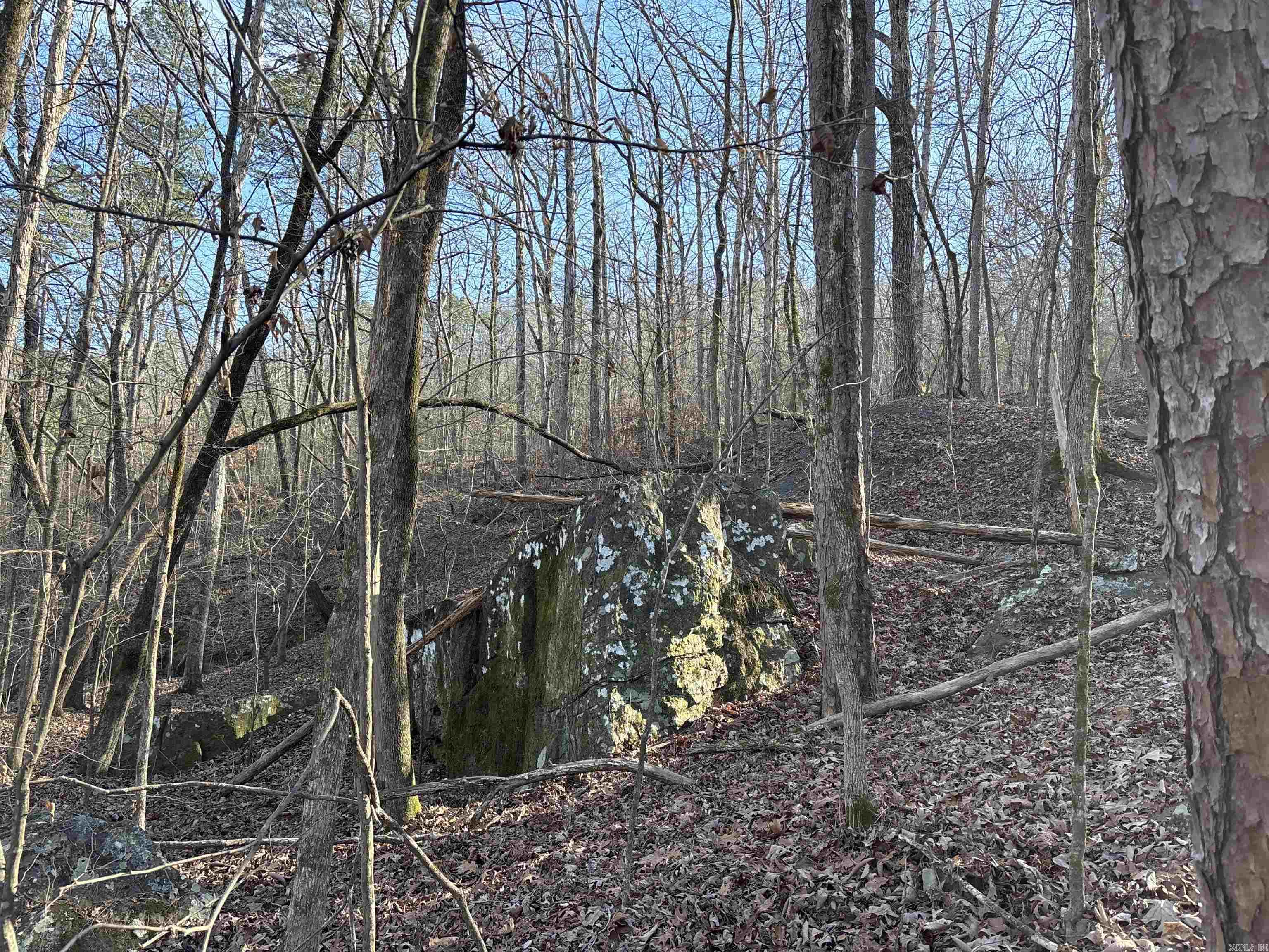 Metes & Bounds - Land