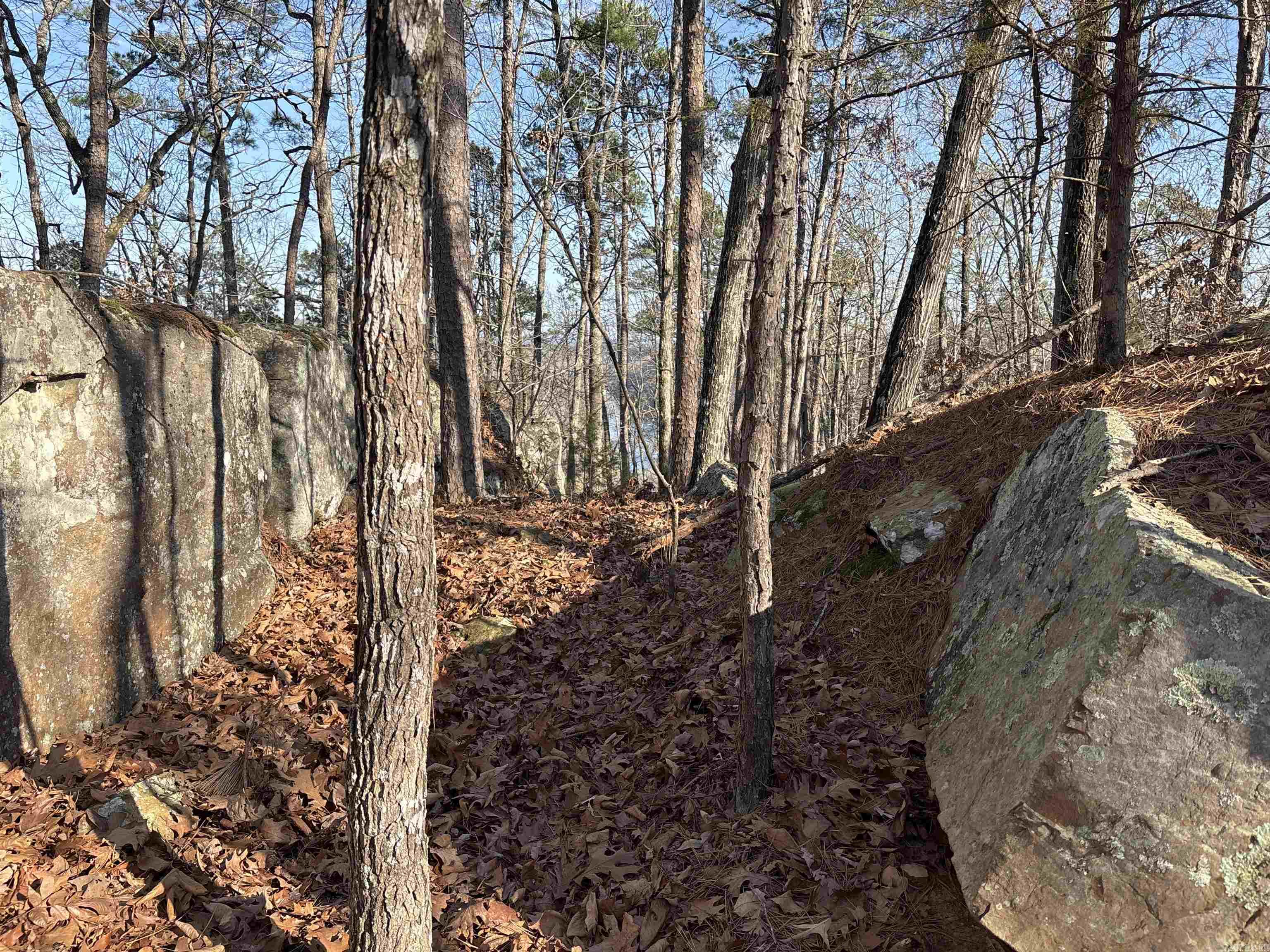 Metes & Bounds - Land