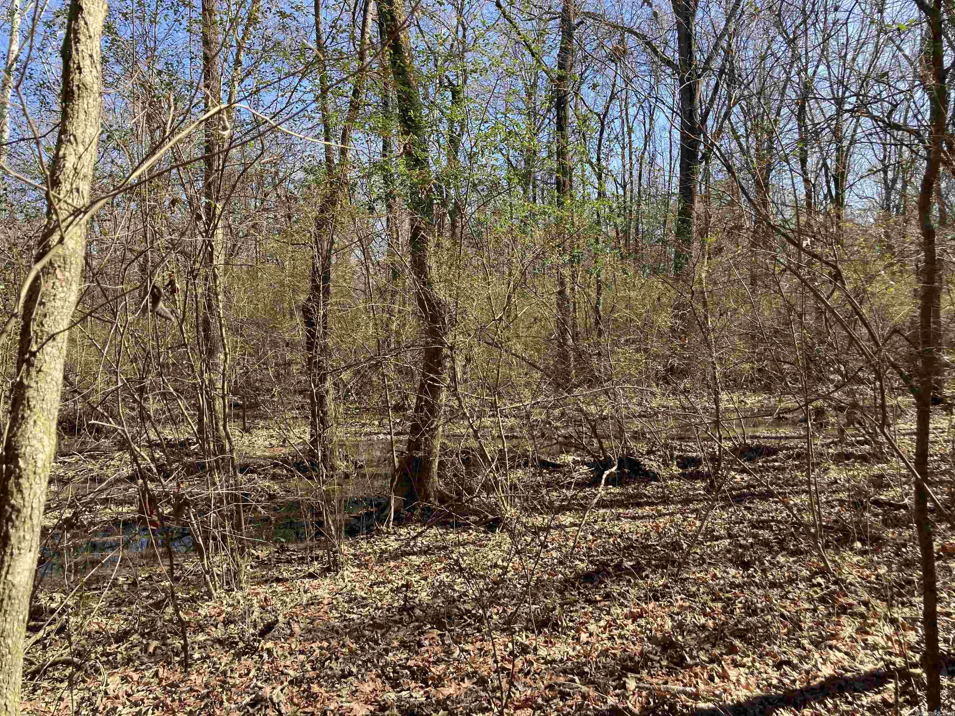 Sweetwater Estates - Land