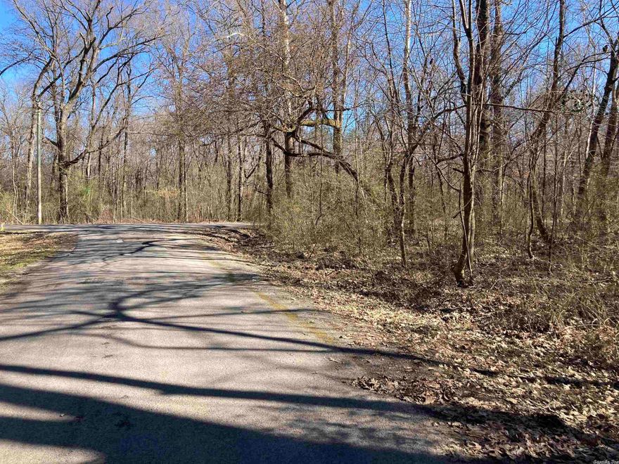 For Sale! Lot 21 in Sweetwater Estates, priced to sell. Has mature hardwoods and is ready to be cleared. Has city water and electricity at the road. No mobile homes.