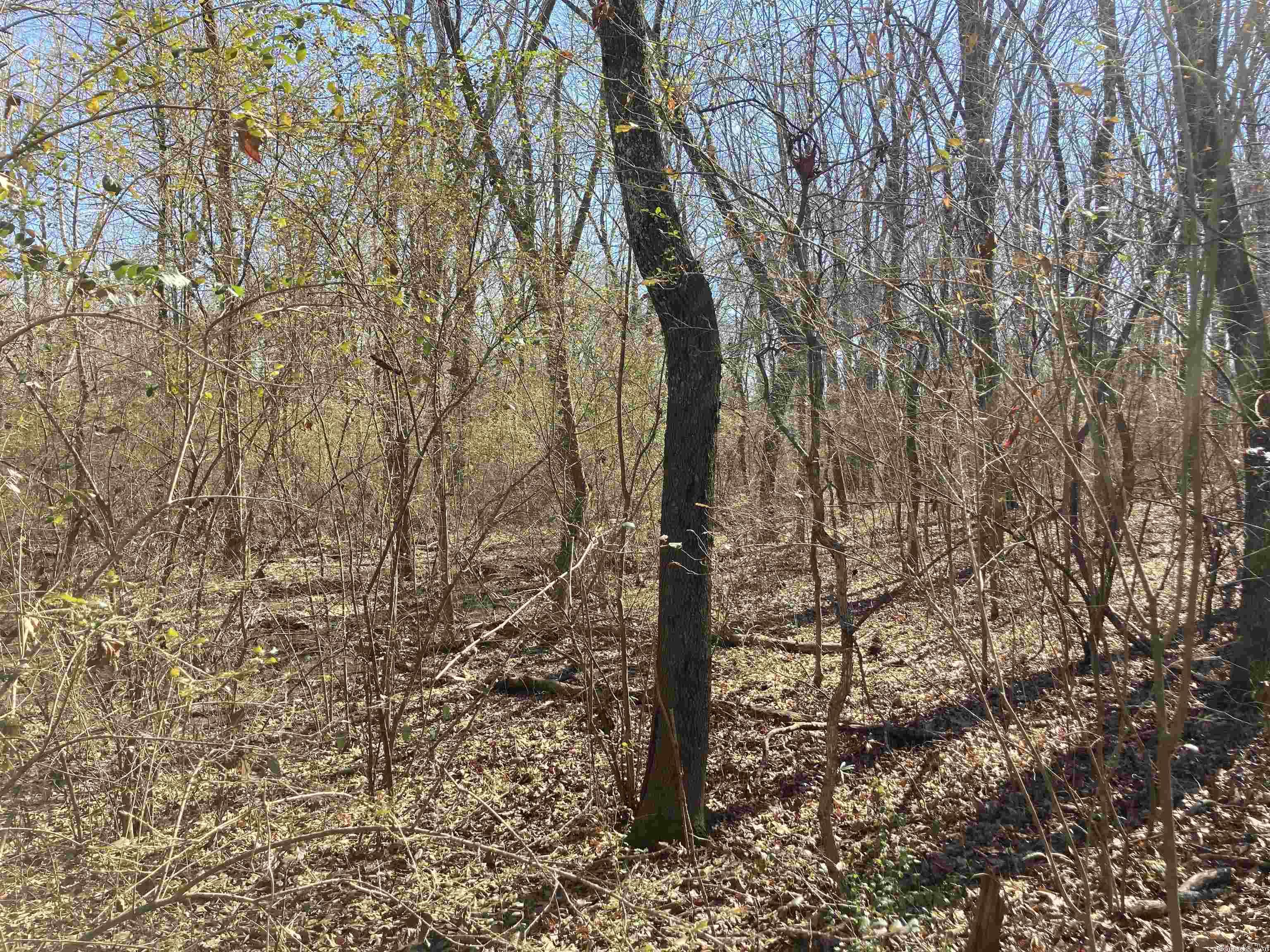 Sweetwater Estates - Land