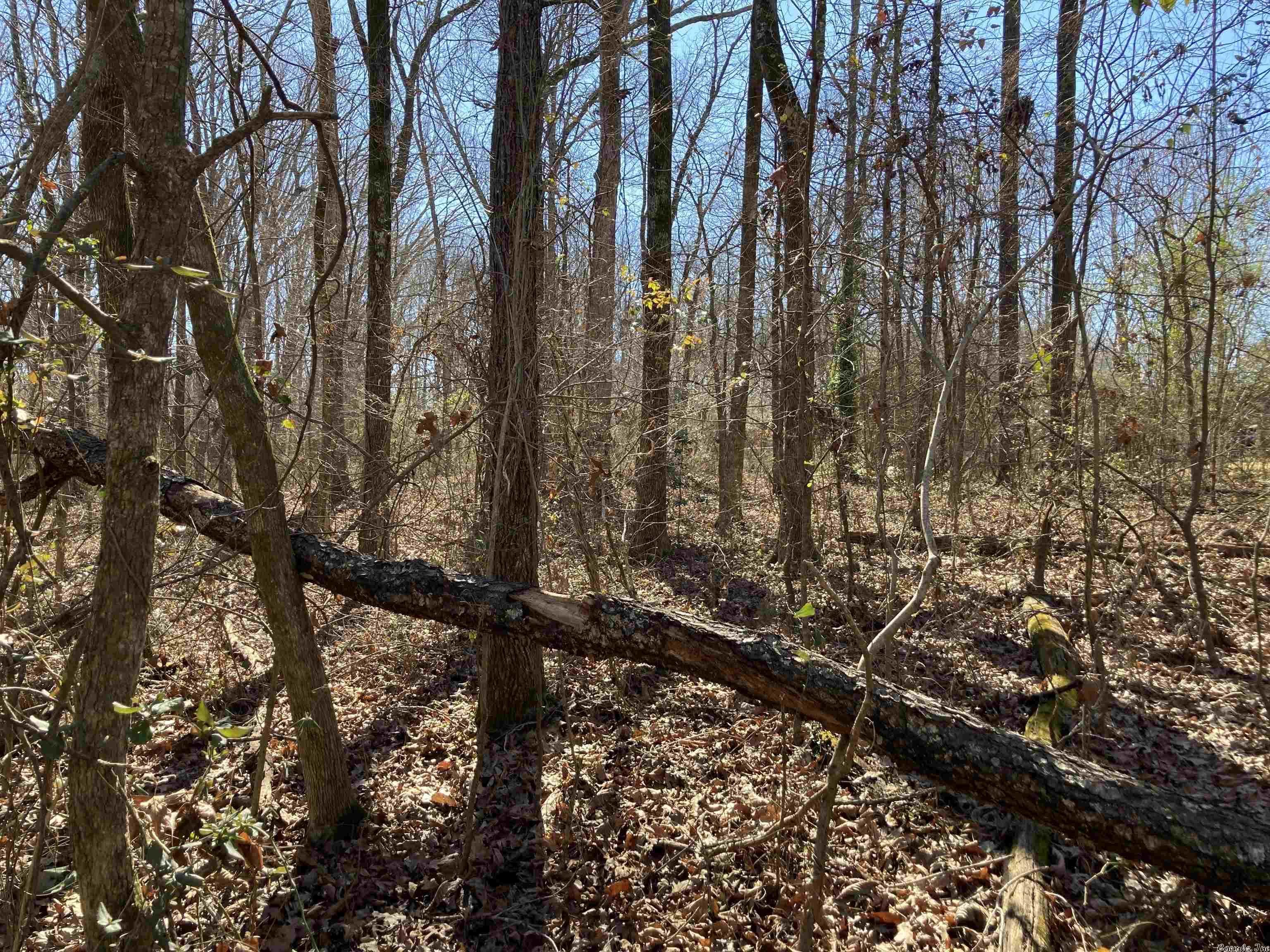 Sweetwater Estates - Land