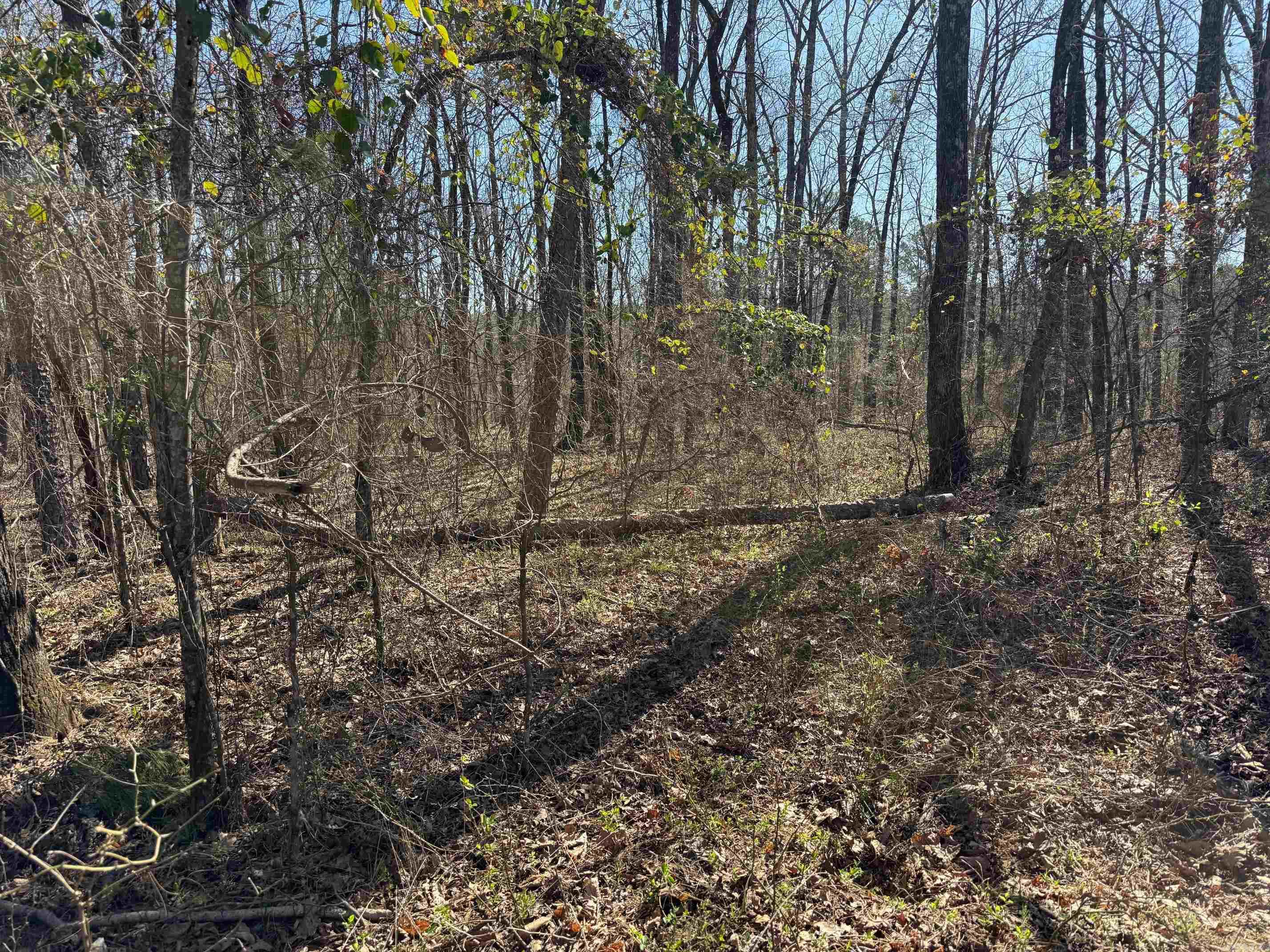 Metes & Bounds - Land