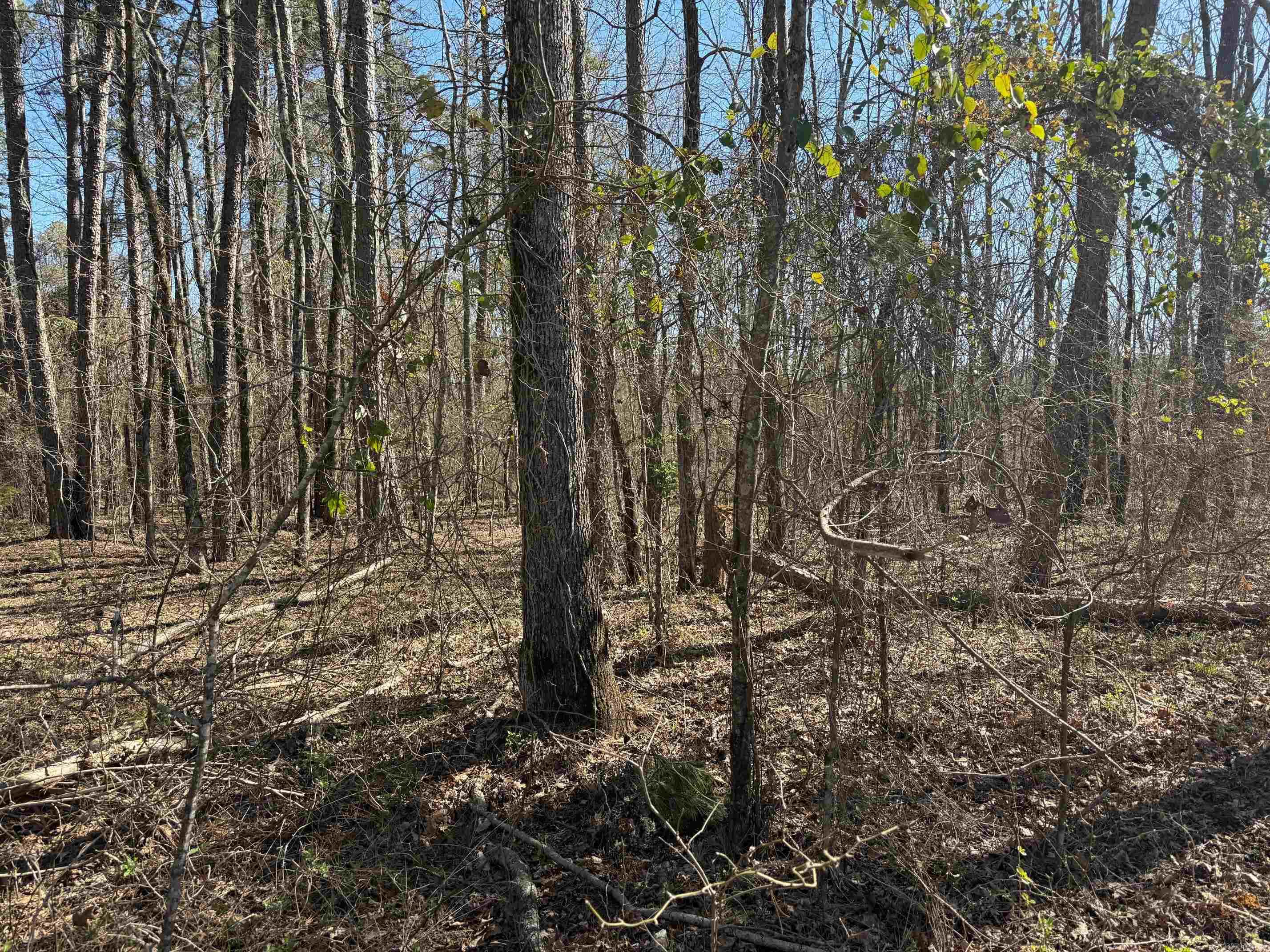 Metes & Bounds - Land