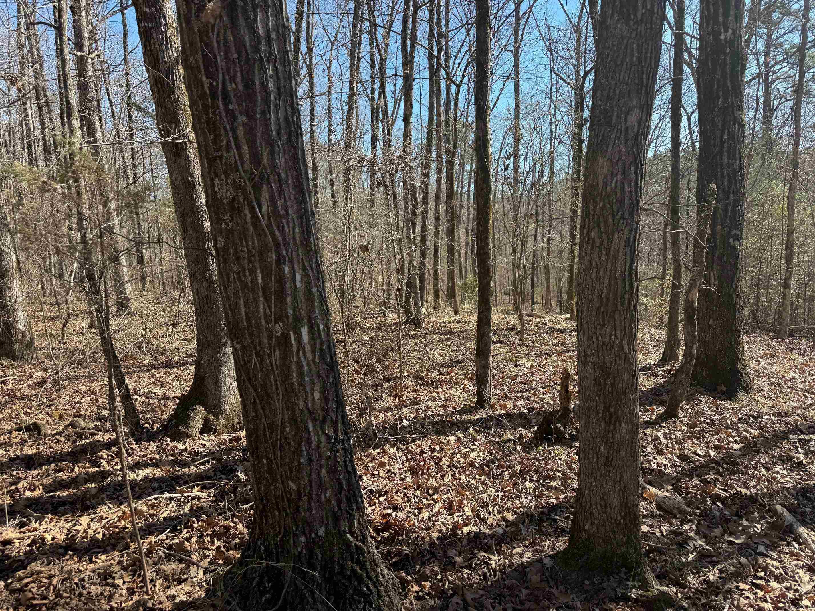 Metes & Bounds - Land