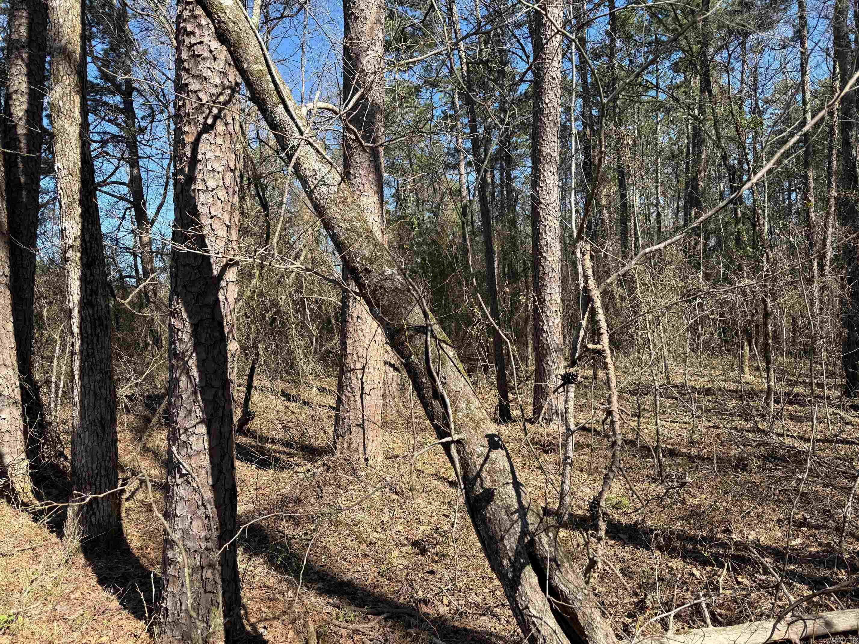 Metes & Bounds - Land