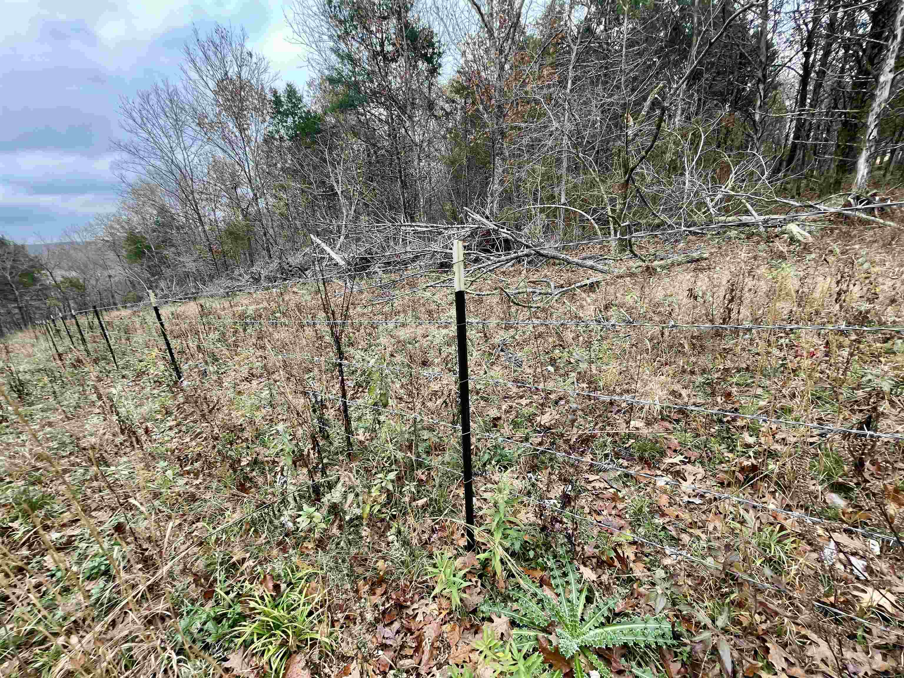 Metes & Bounds - Land