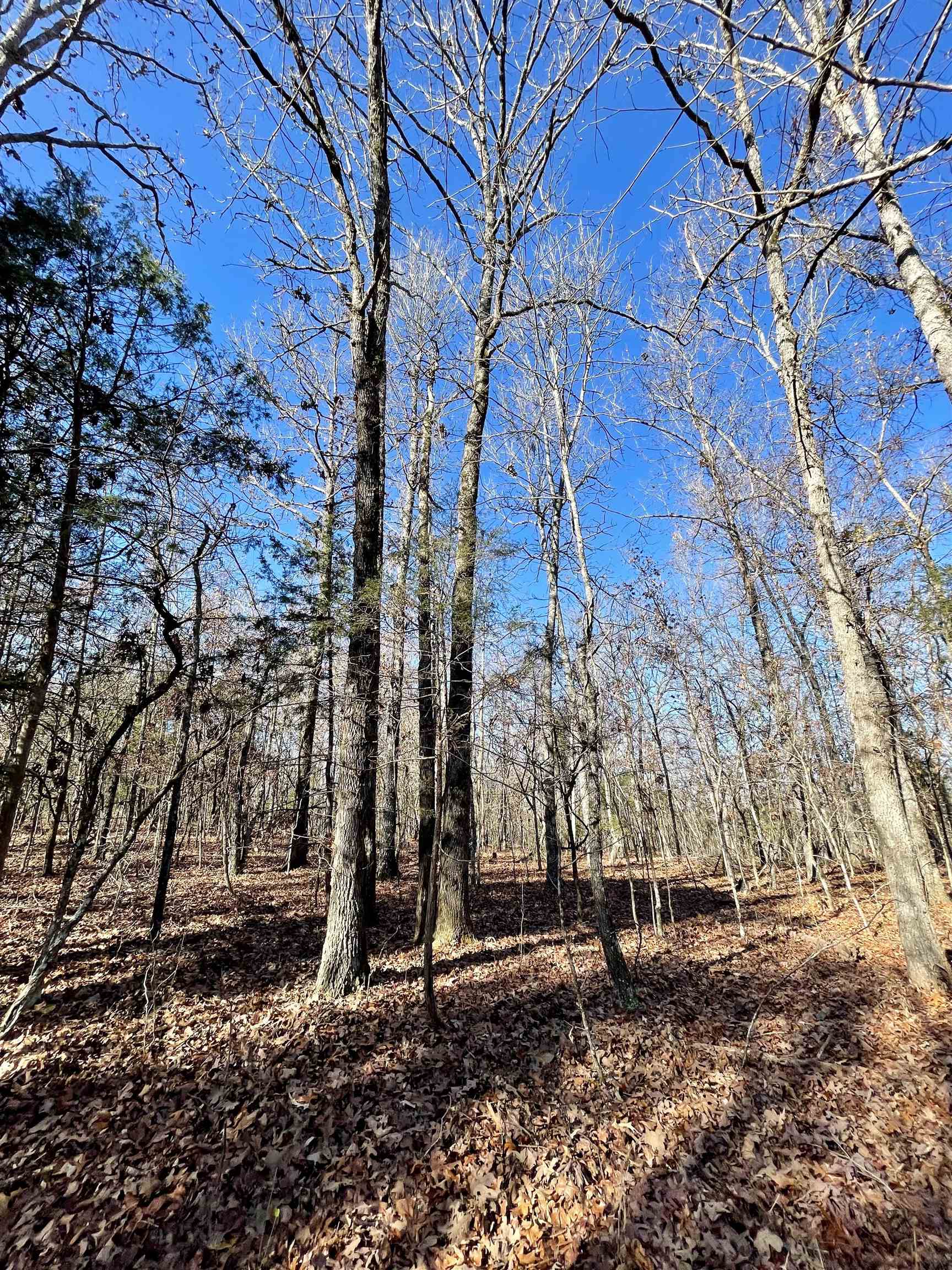 Metes & Bounds - Land