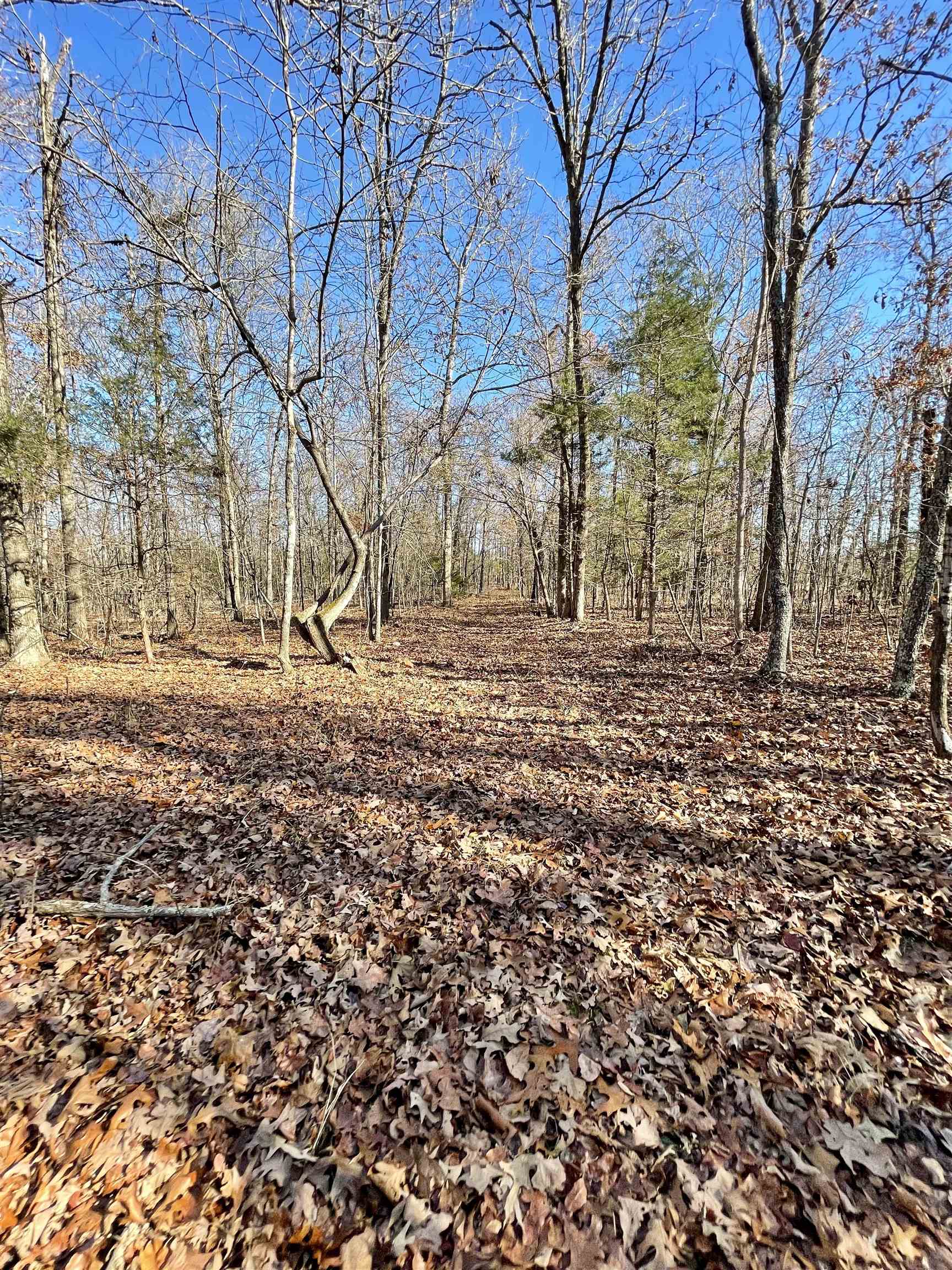 Metes & Bounds - Land