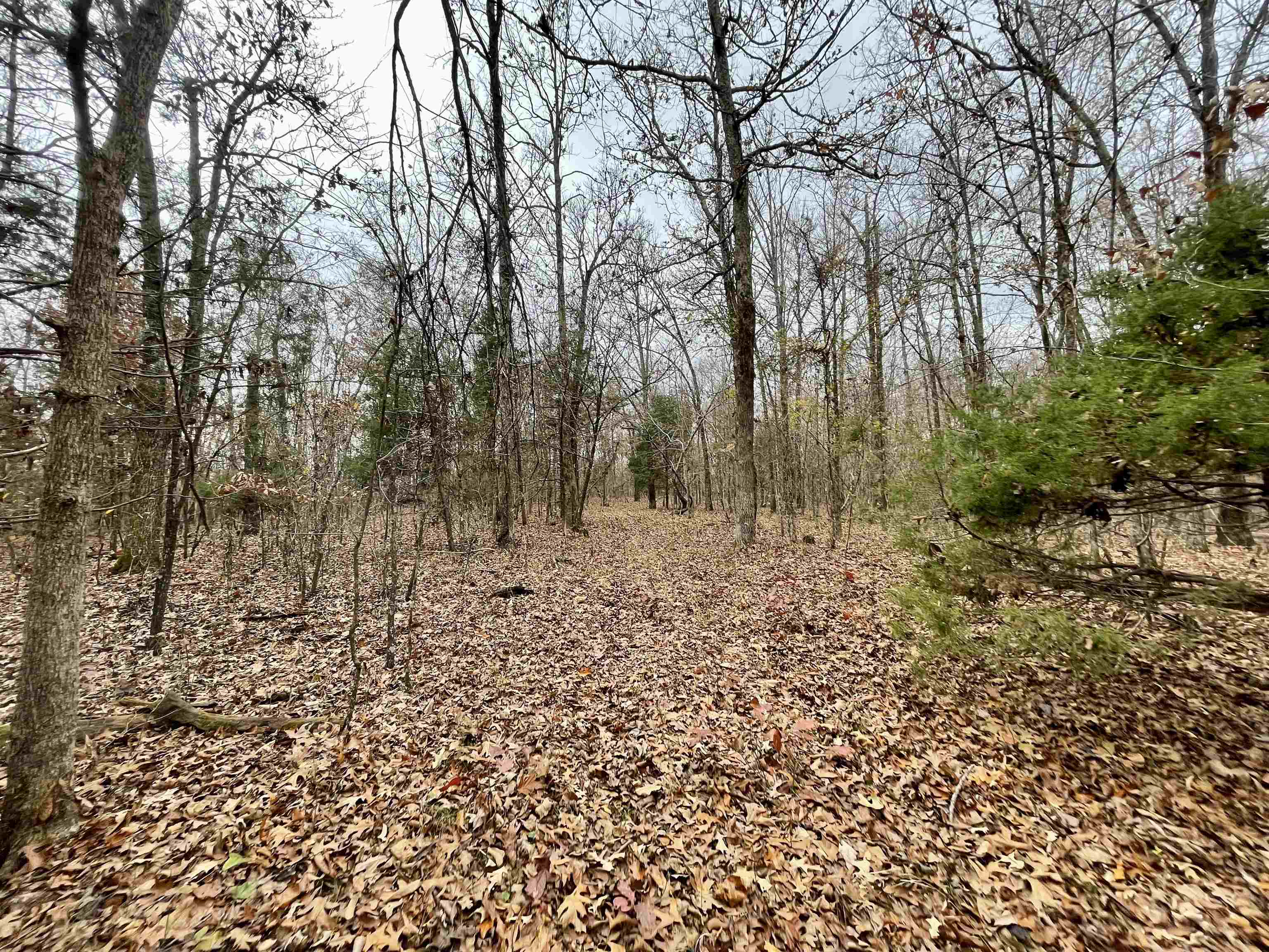 Metes & Bounds - Land