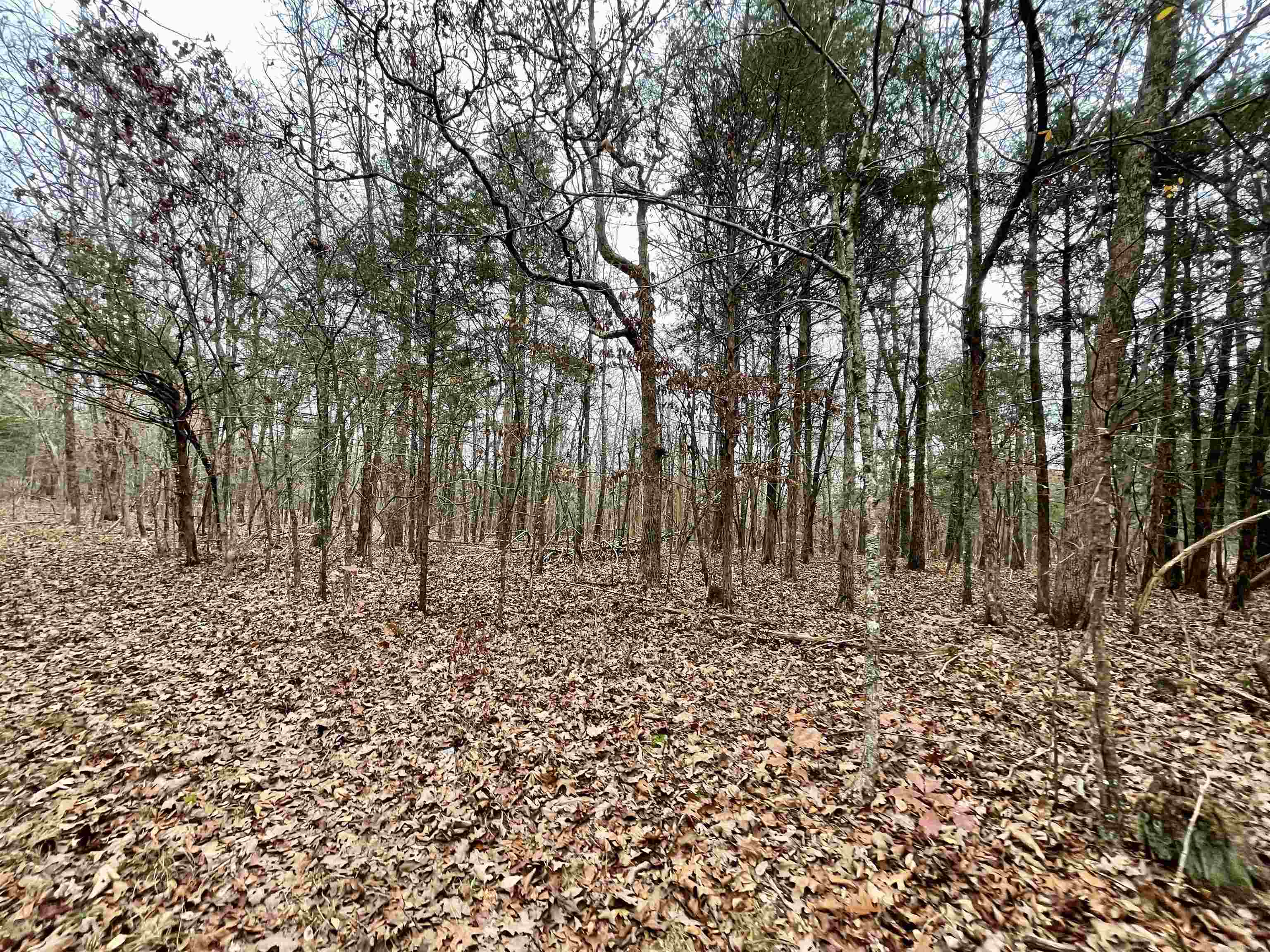 Metes & Bounds - Land