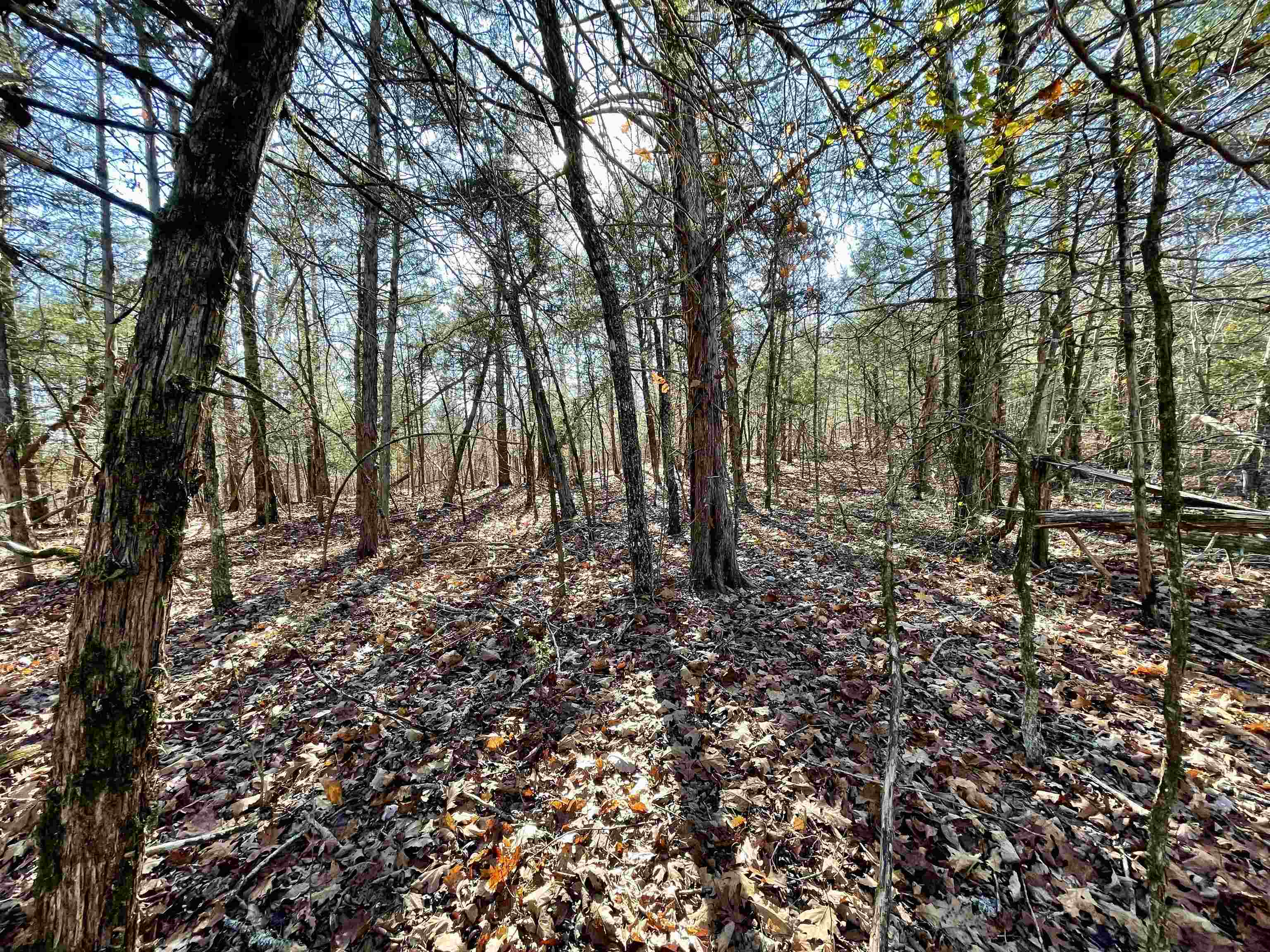 Metes & Bounds - Land