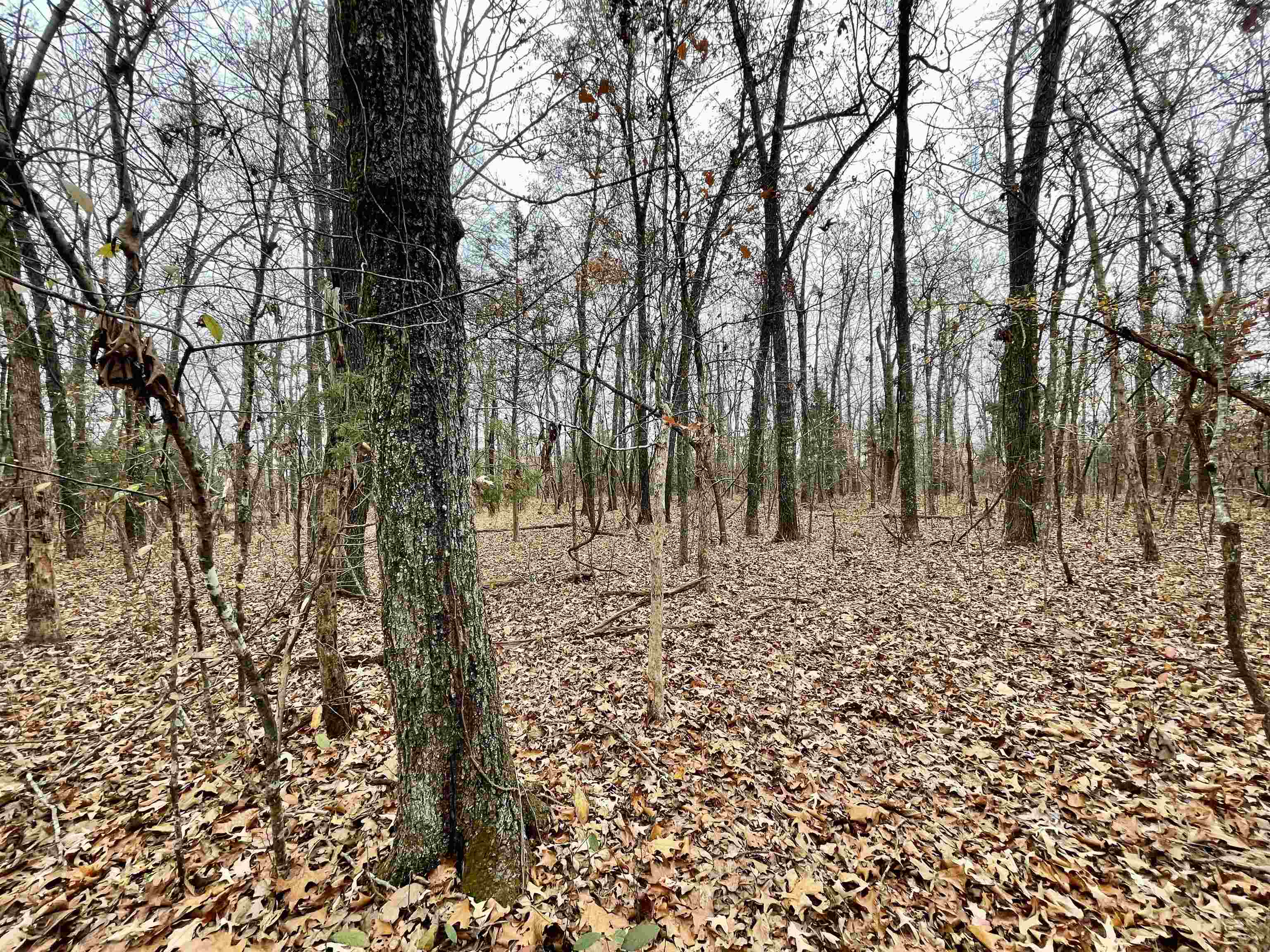 Metes & Bounds - Land