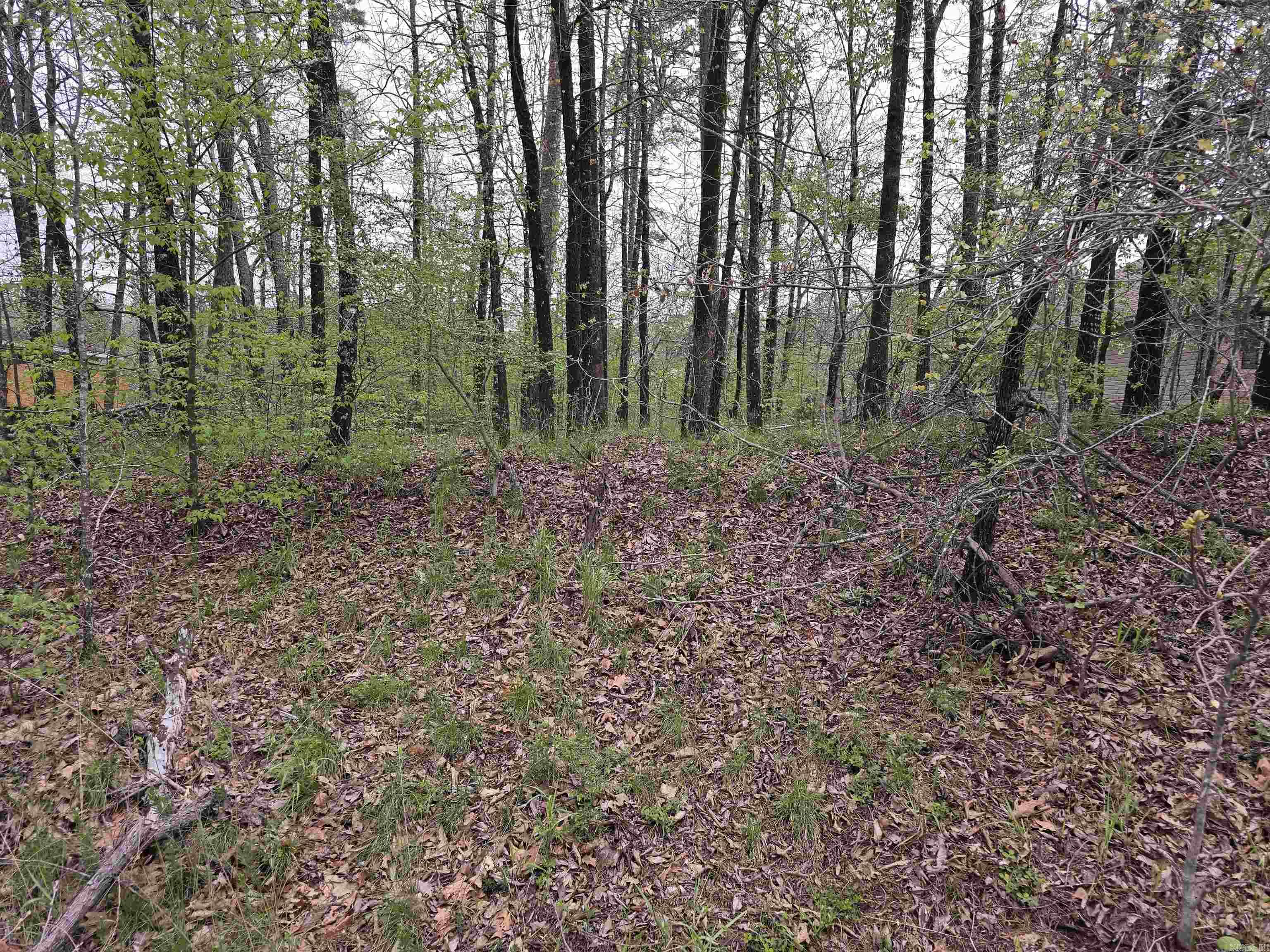 Very affordable land buildable lot. Welcome to easy living in the heart of the Diamondhead Community in Hot Springs, AR—a neighborhood known for its golfing, boating, fishing, community pool, tennis and pickleball courts, and year-round activities for all ages.