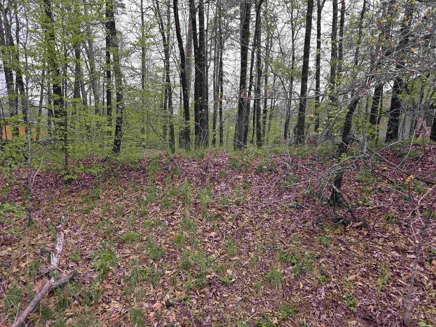 Very affordable land buildable lot. Welcome to easy living in the heart of the Diamondhead Community in Hot Springs, AR—a neighborhood known for its golfing, boating, fishing, community pool, tennis and pickleball courts, and year-round activities for all ages.